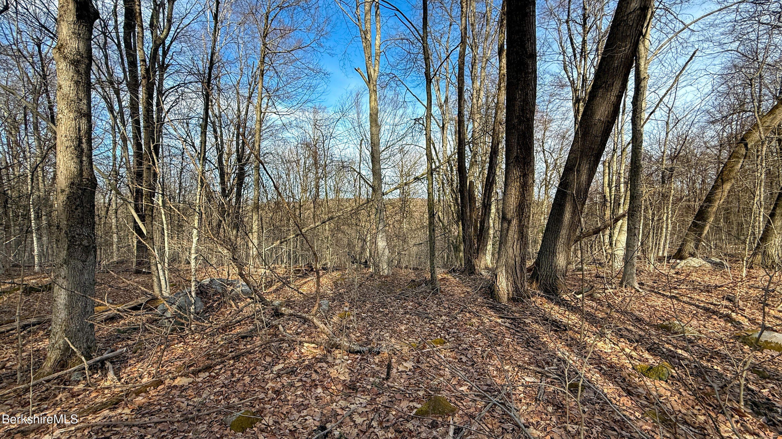 LOT21 Partridge Ln, Becket, Massachusetts image 4