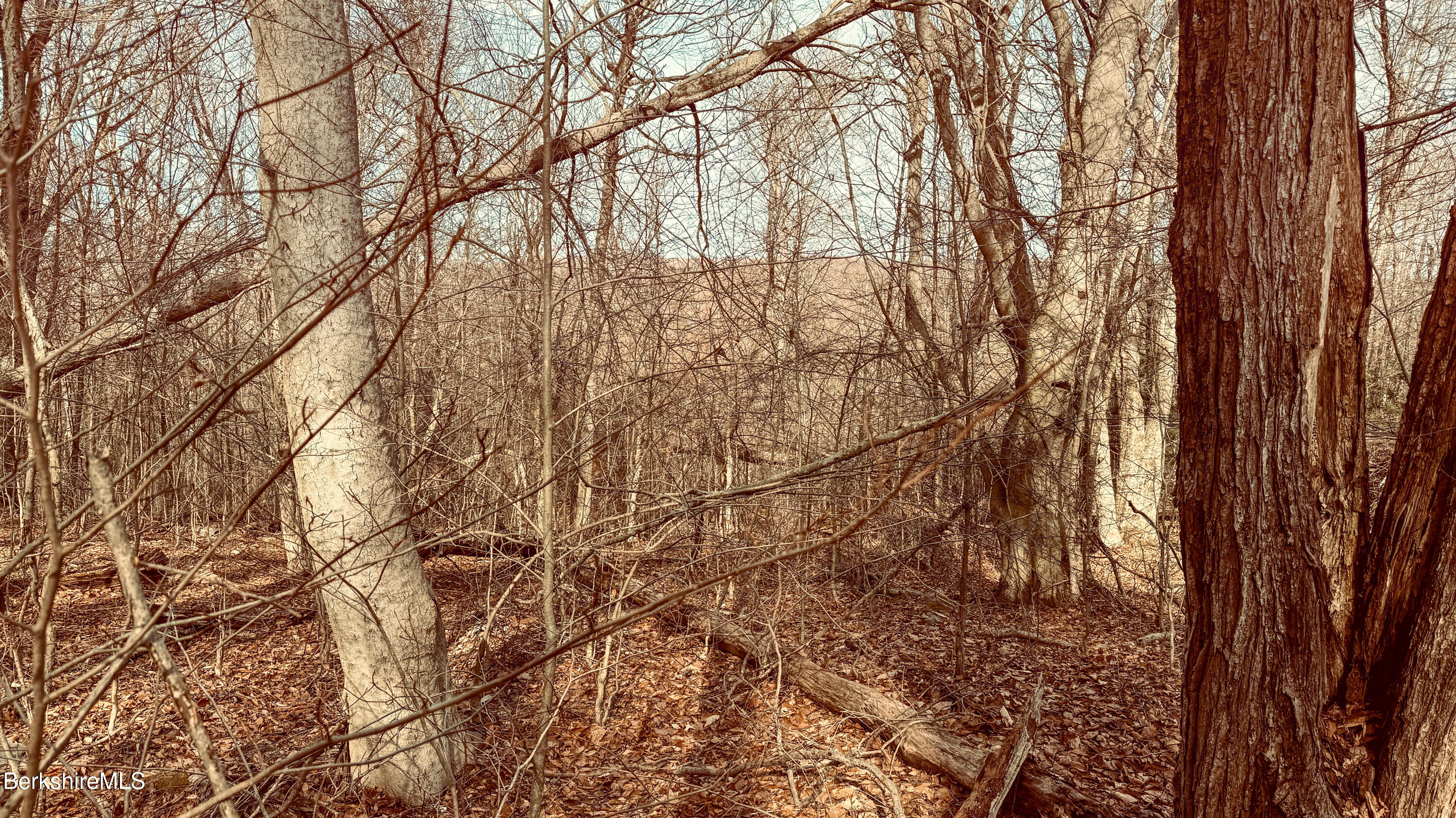 LOT21 Partridge Ln, Becket, Massachusetts image 8