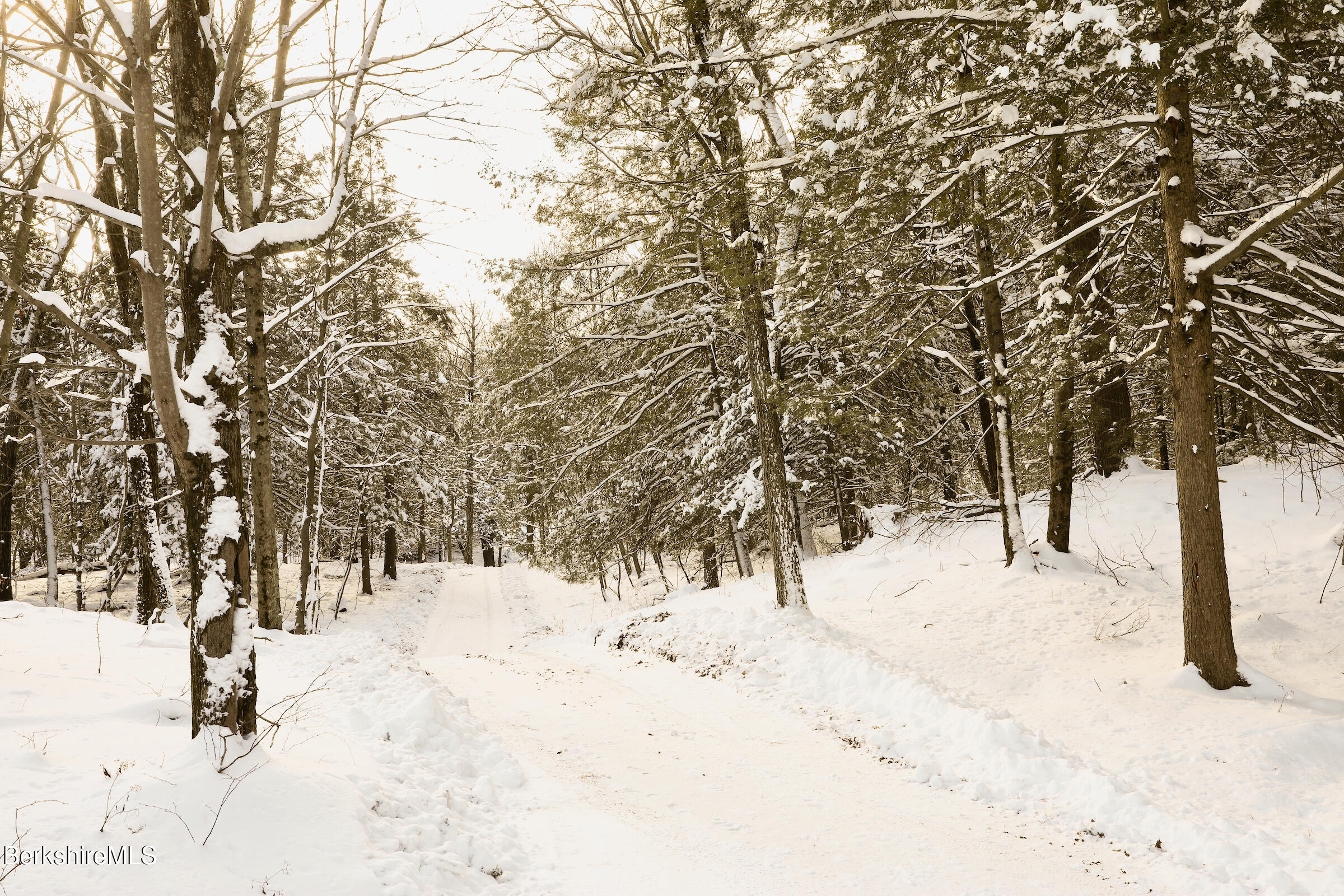 49 Sky Top Rd, Copake, New York image 2