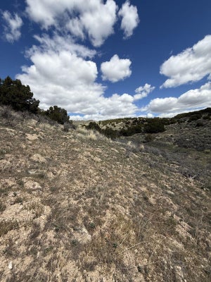 31ST ST, ELKO, NV 89801 - Image 369f110ffcd24008e2fecd8659bb8700/541502367
