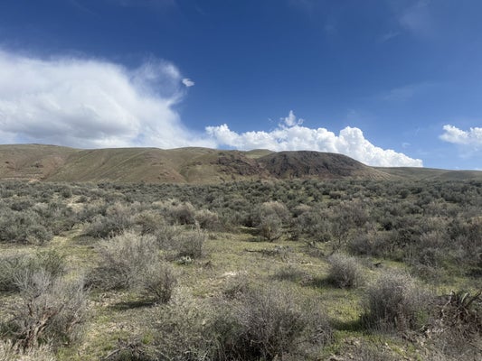 ADDRESS PRIVATE, ELKO, NV 89801 - Image 453a4cf1d3a6cd51f4f03a2d213f91aa/2552170281