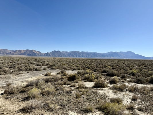 ADDRESS PRIVATE, CRESCENT VALLEY, NV 89821 - Image cd5a7500df7ccb181e9fe0f6236824fb/3350404429