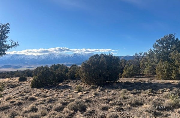 2ND ST, WELLS, NV 89835 - Image f202a3fbb2e312e209b4baf40b423fb3/3514163186