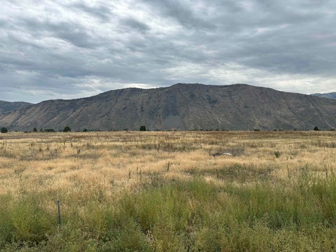 Vacant Land For Sale - LOT 4 Utah Drive<br/> Bannock County, Inkom, ID 83245