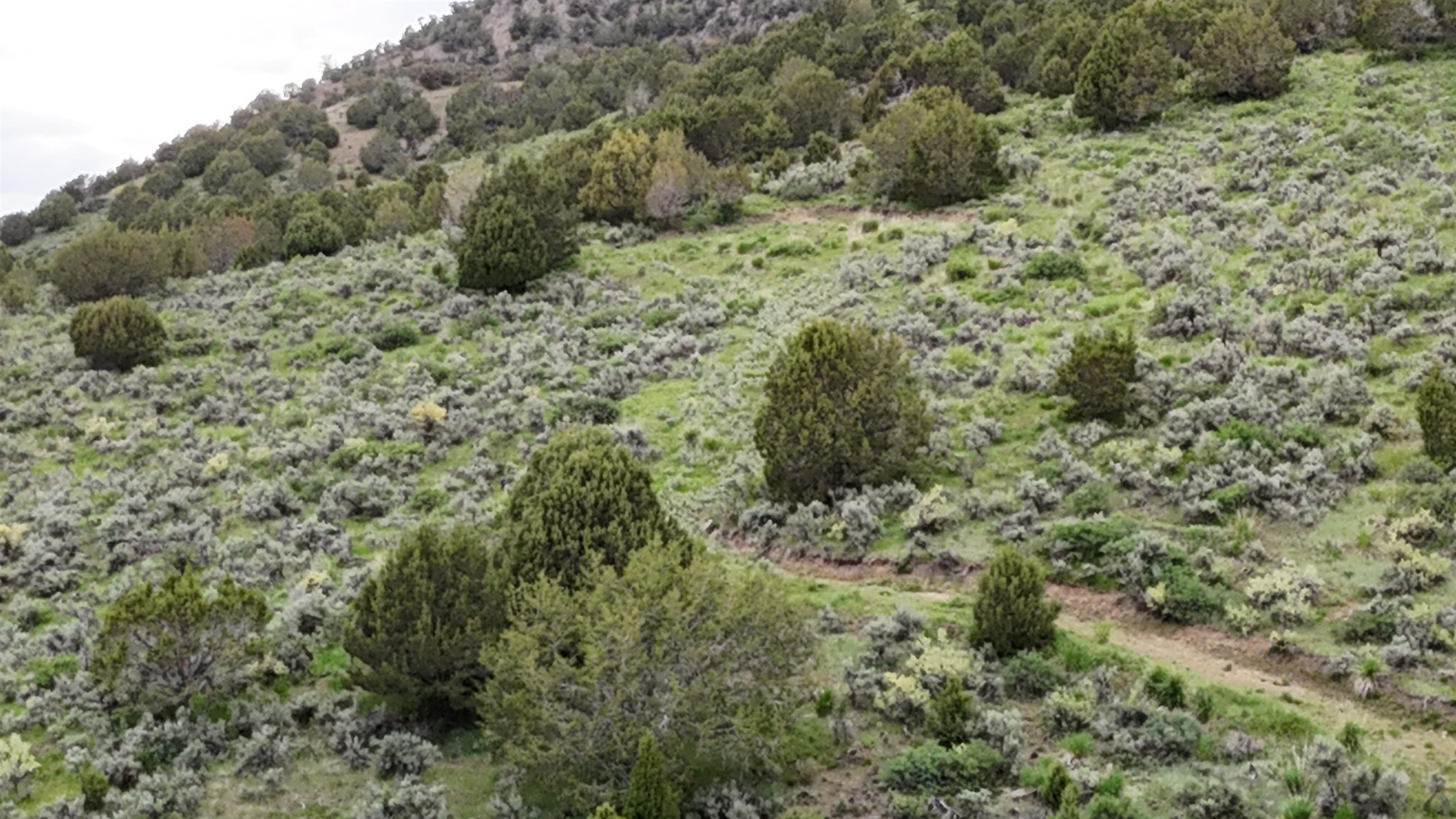 TBD Blazer Hwy, Lava Hot Springs, Idaho image 6