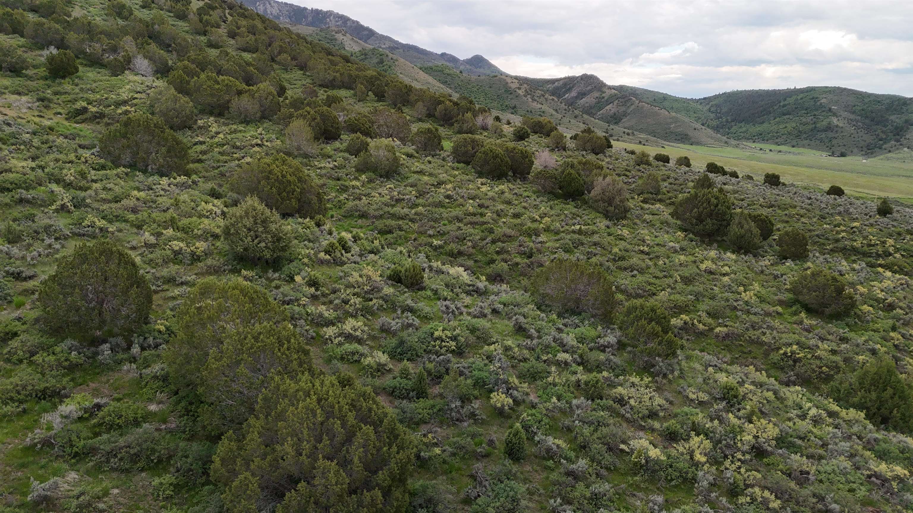 TBD Blazer Hwy, Lava Hot Springs, Idaho image 8