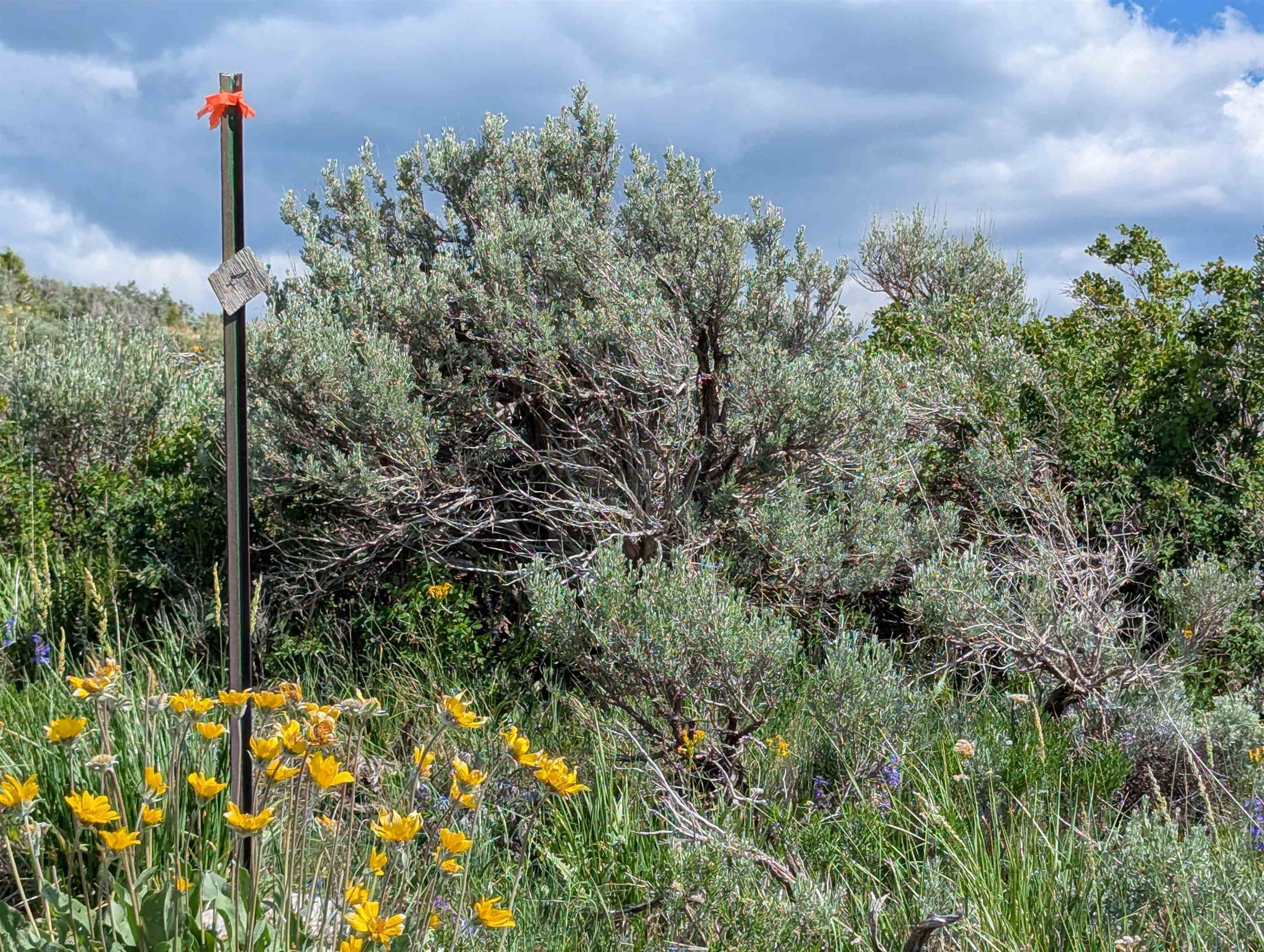 TBD Selkirk, Lava Hot Springs, Idaho image 16