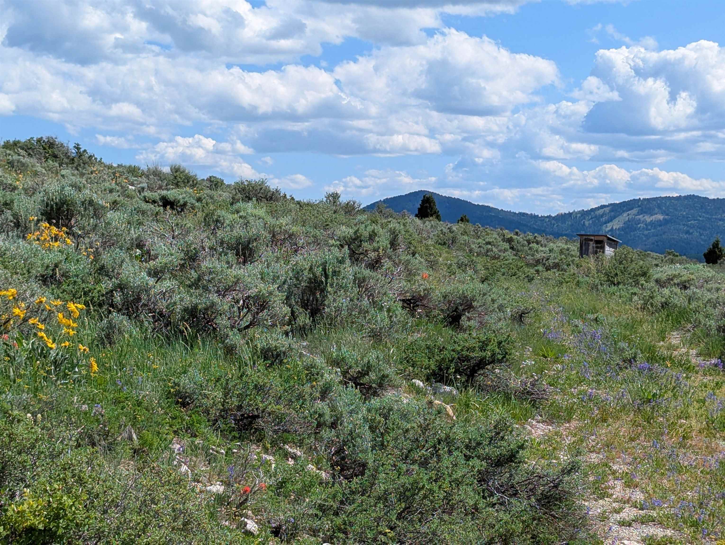 TBD Selkirk, Lava Hot Springs, Idaho image 6