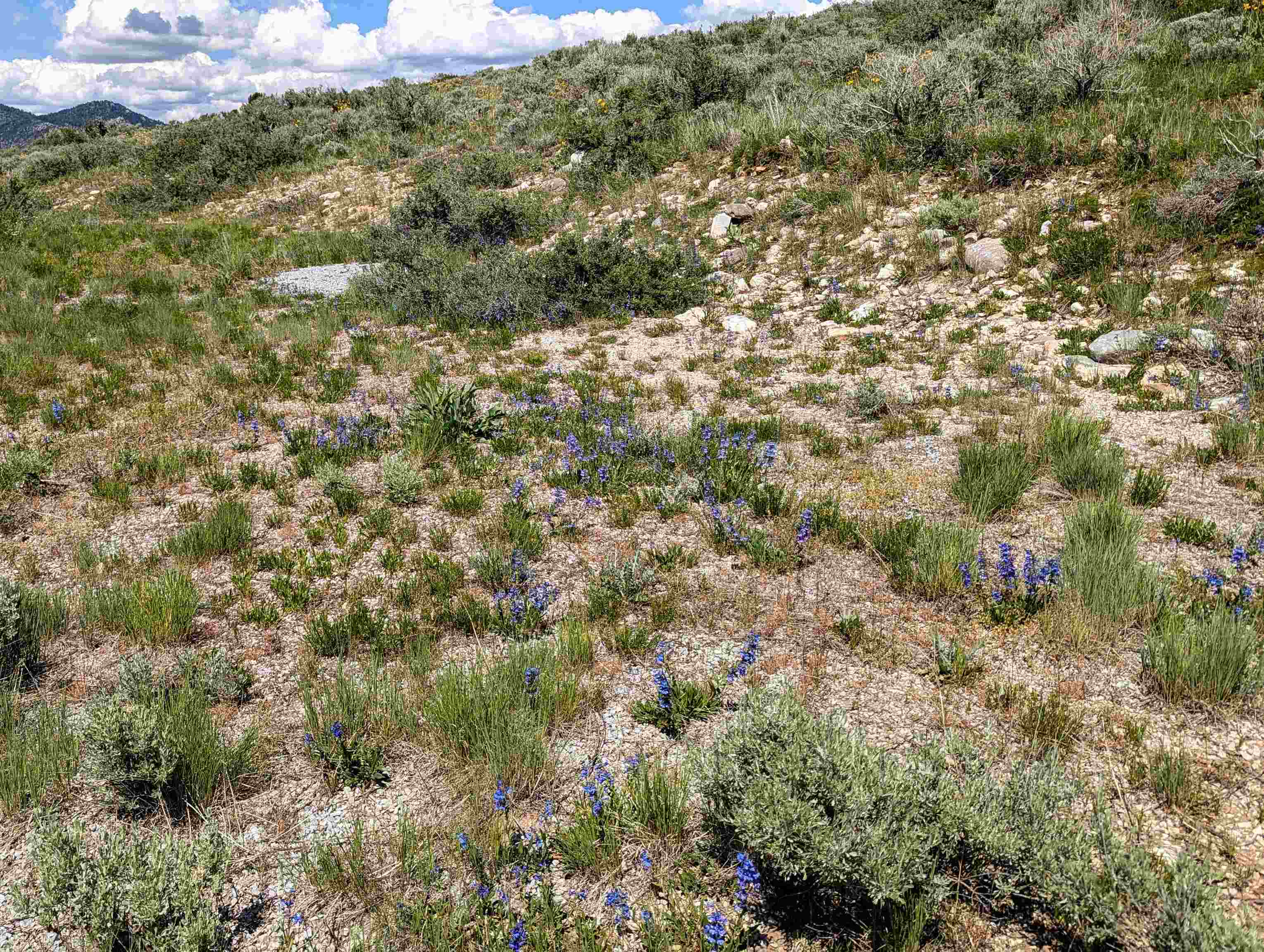 TBD Selkirk, Lava Hot Springs, Idaho image 7
