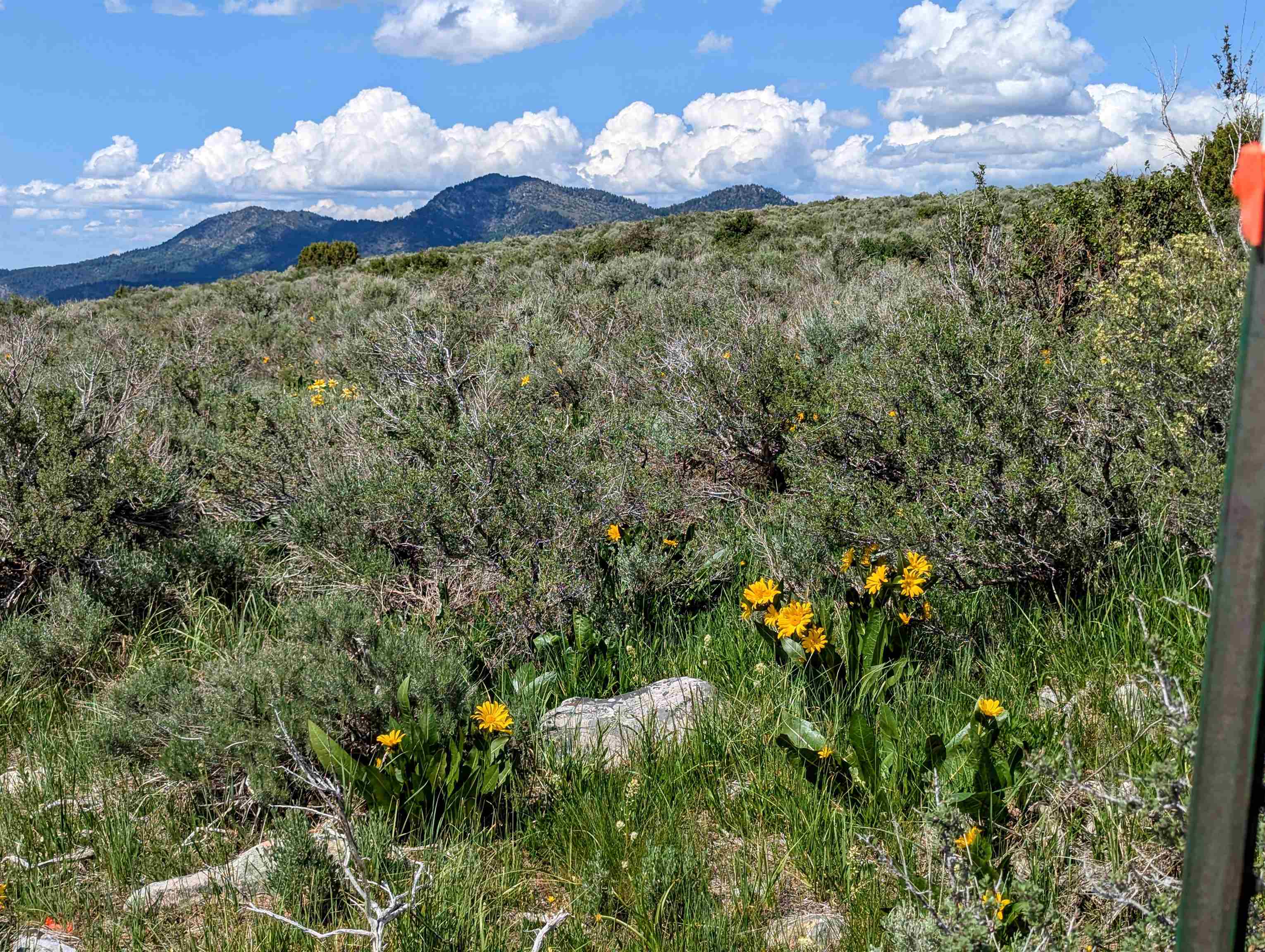 TBD Selkirk, Lava Hot Springs, Idaho image 18