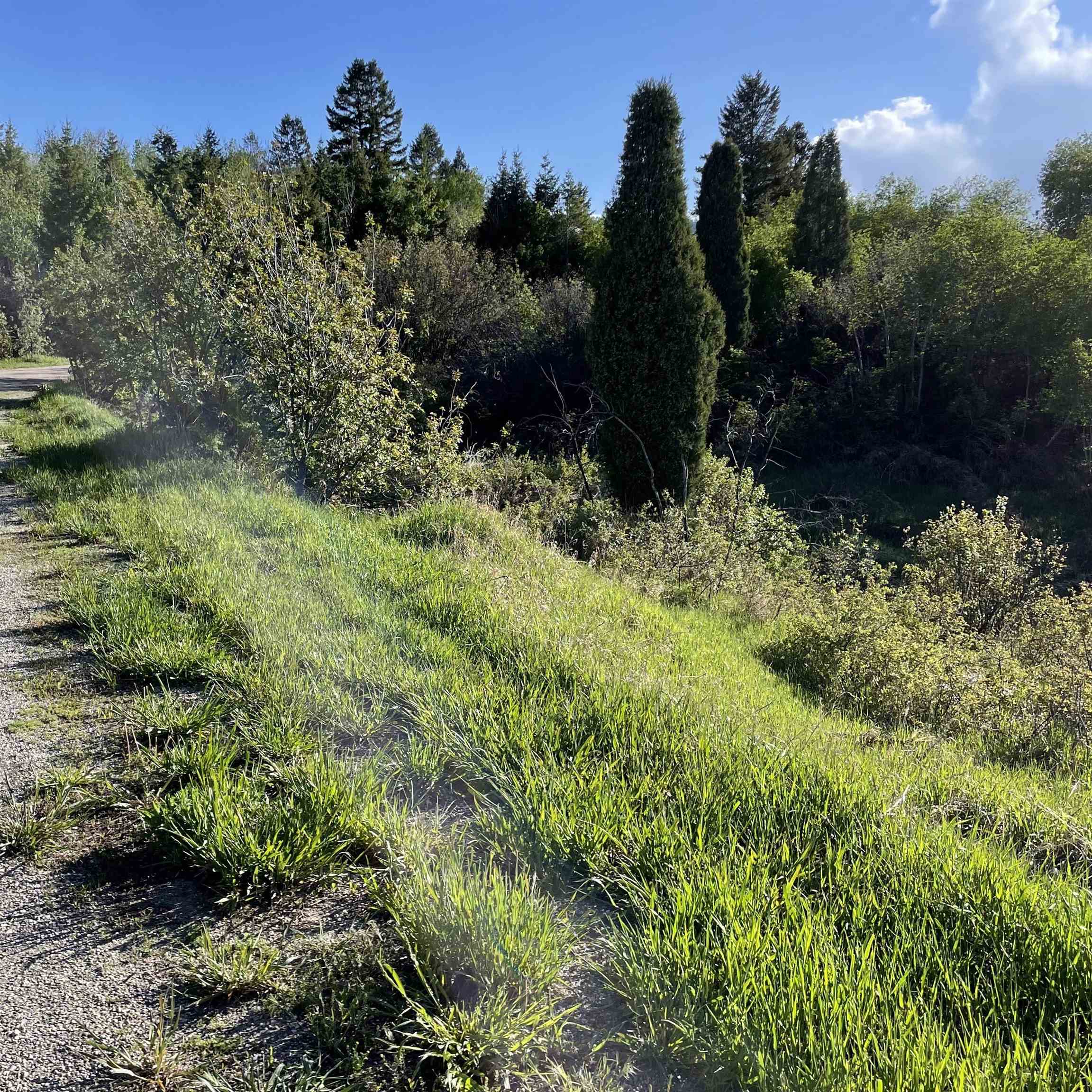 Lot 67 Bailey Creek Sub 1, Soda Springs, Idaho image 12