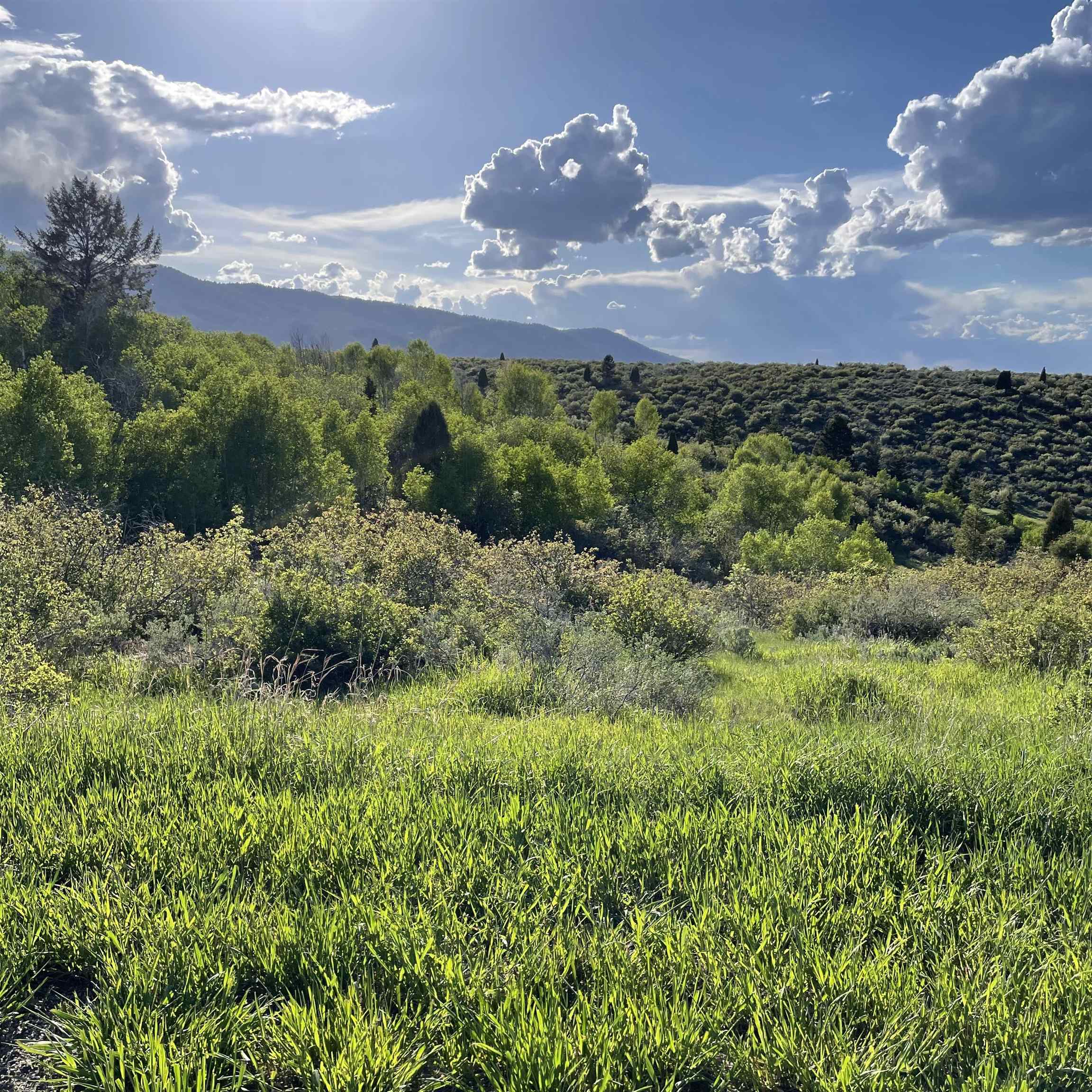 Lot 67 Bailey Creek Sub 1, Soda Springs, Idaho image 1