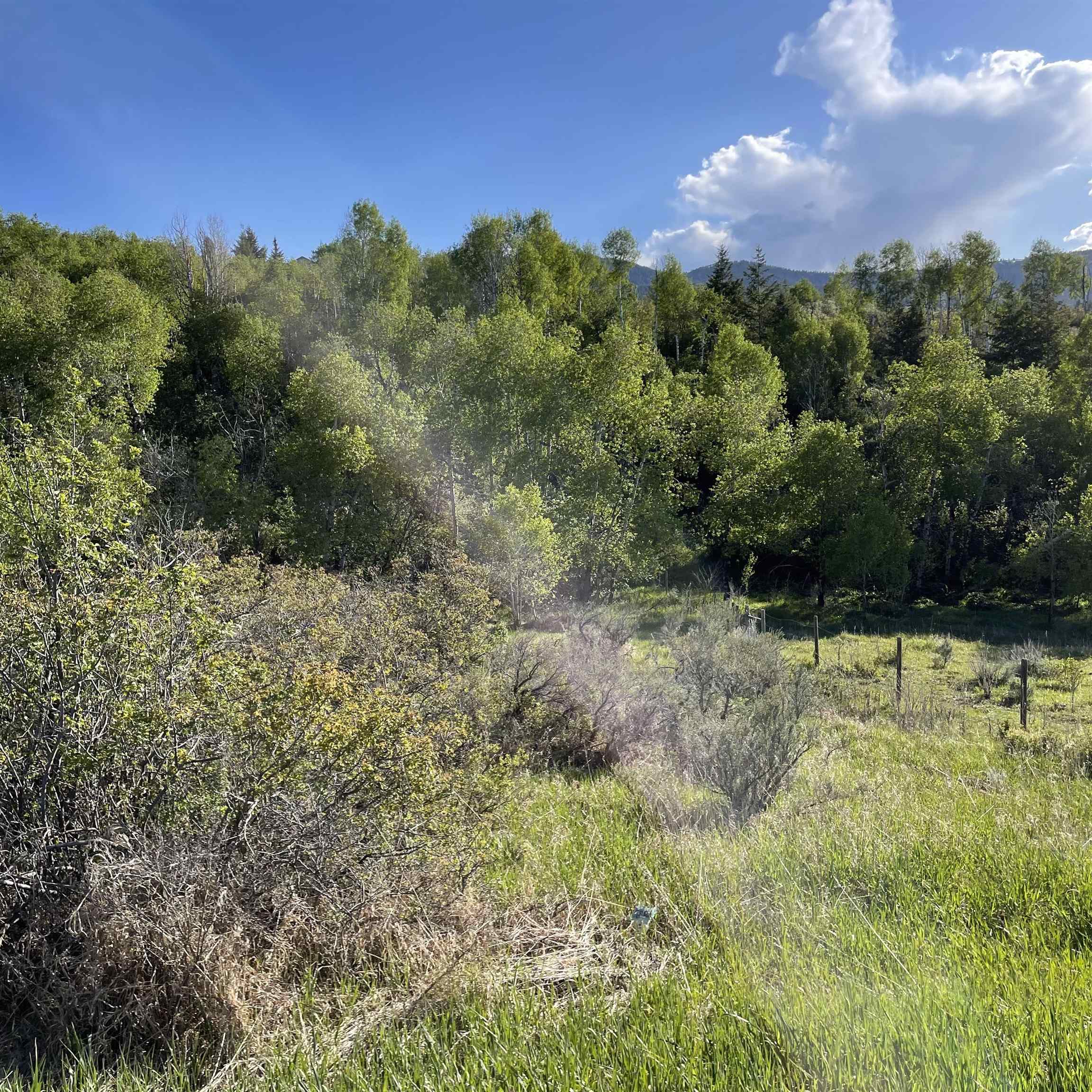 Lot 67 Bailey Creek Sub 1, Soda Springs, Idaho image 11