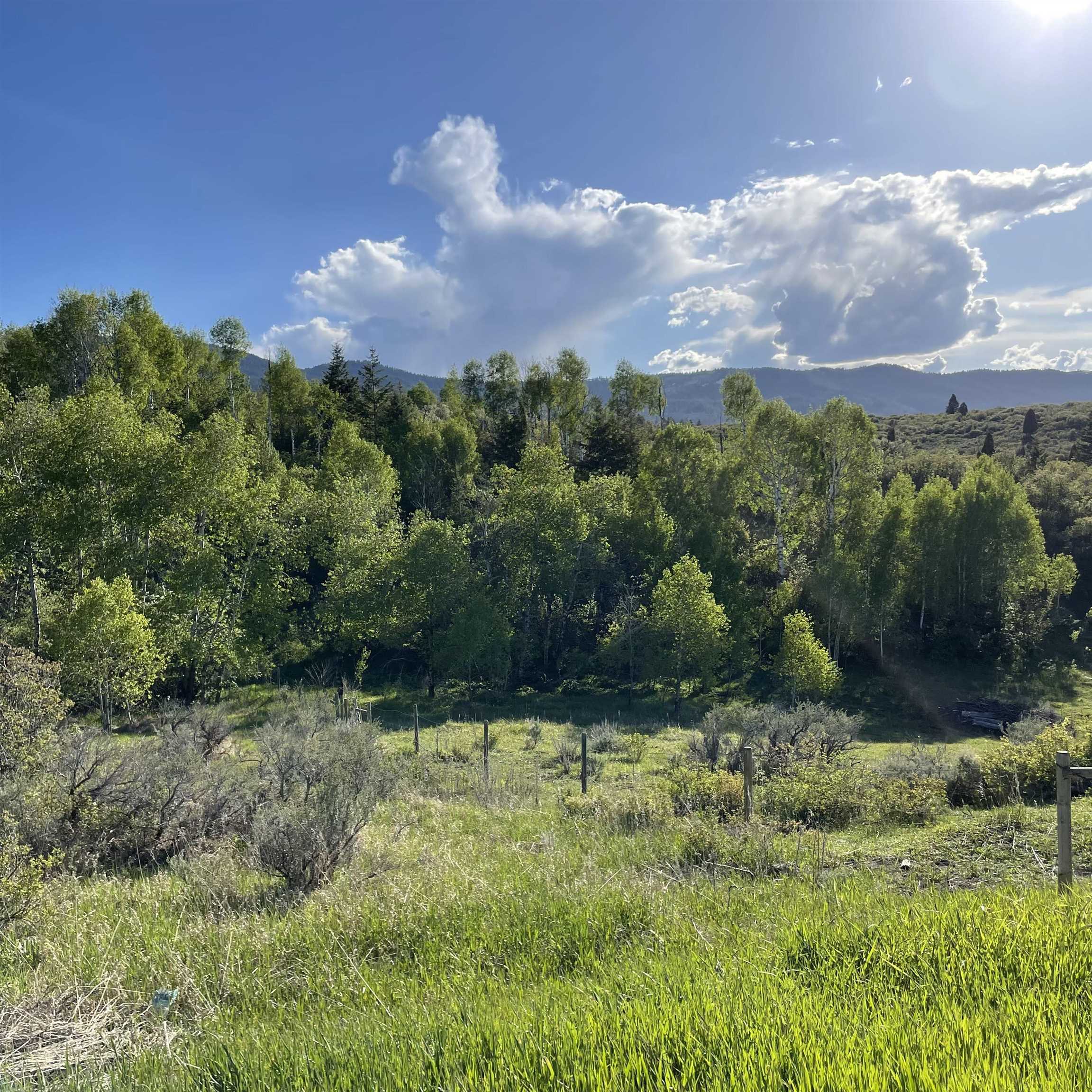 Lot 67 Bailey Creek Sub 1, Soda Springs, Idaho image 8