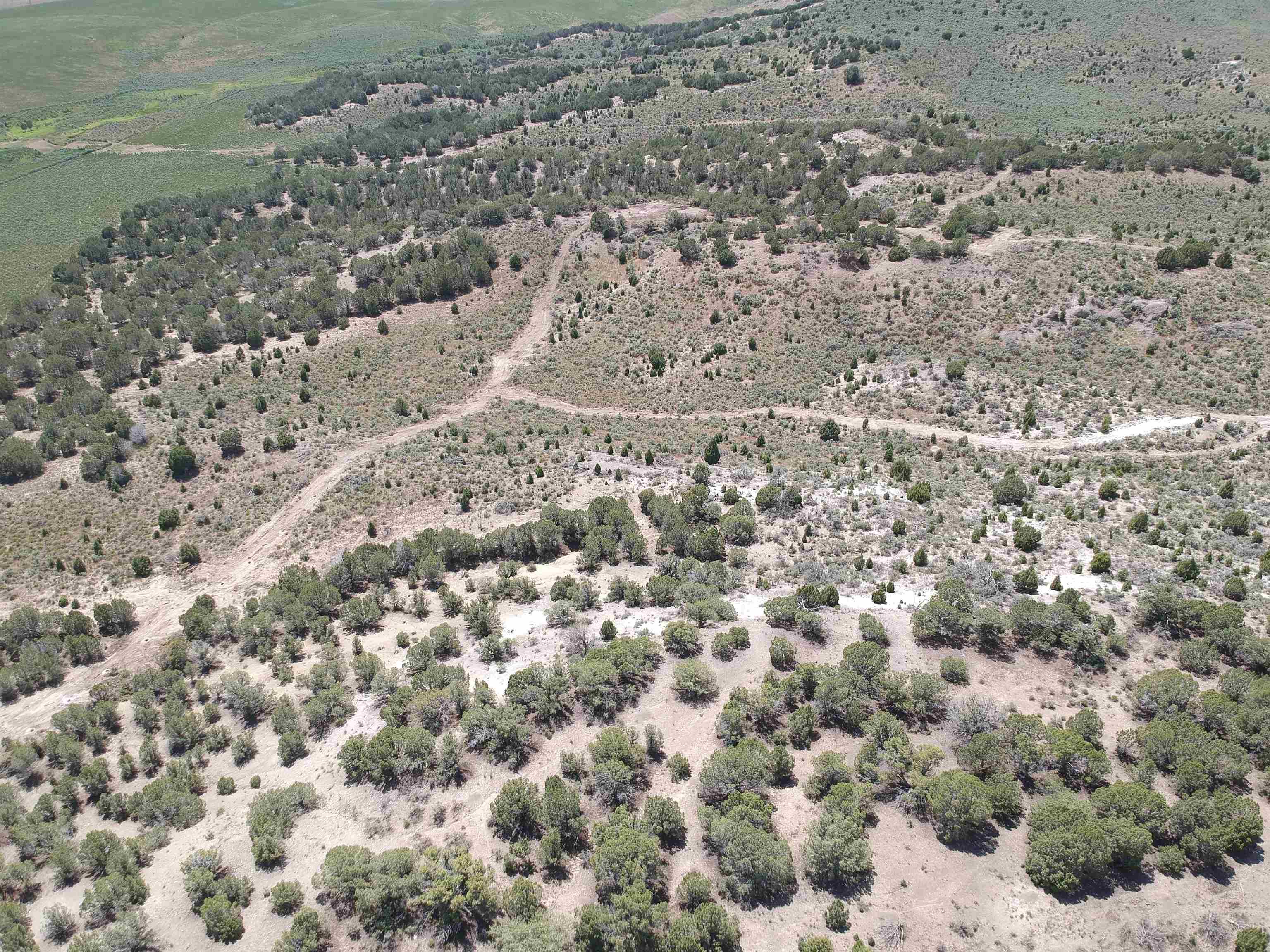 40 Acres Arbon Hwy, American Falls, Idaho image 41