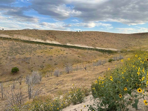 Vacant Land For Sale - PARCEL 1 Ridgeview Lane<br/> Pocatello, ID 83204