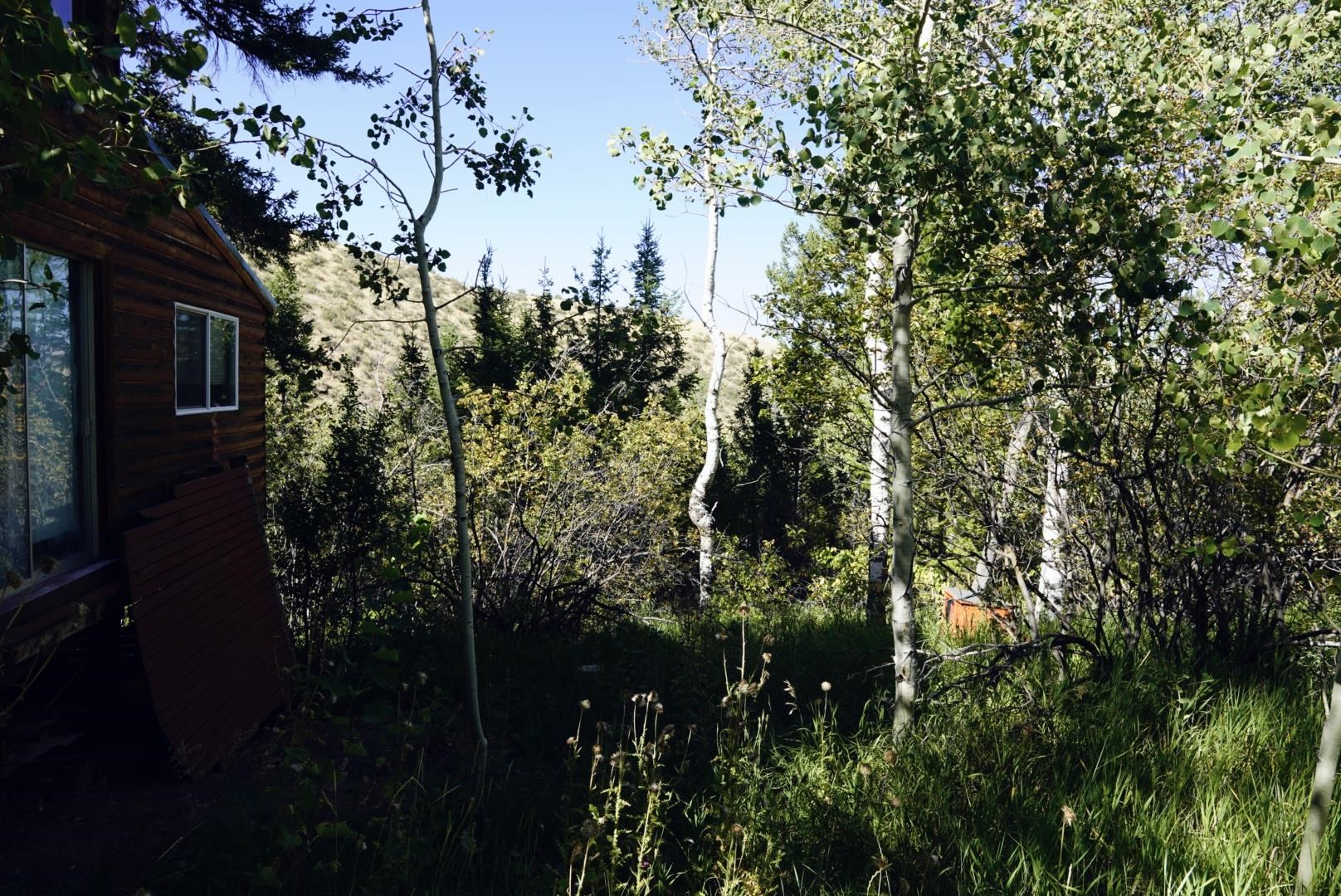 283 Caribou Rd, Soda Springs, Idaho image 31