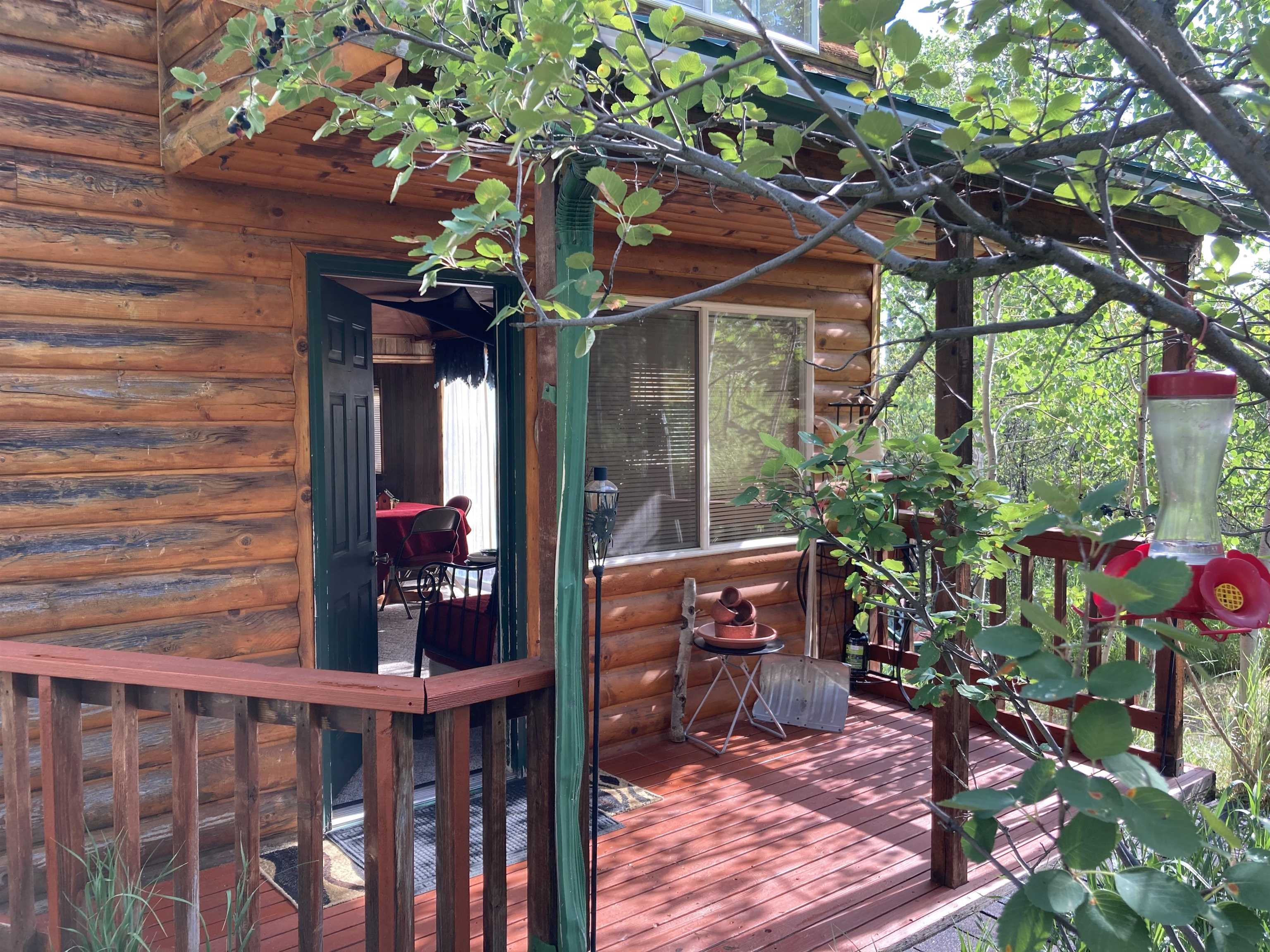 283 Caribou Rd, Soda Springs, Idaho image 7