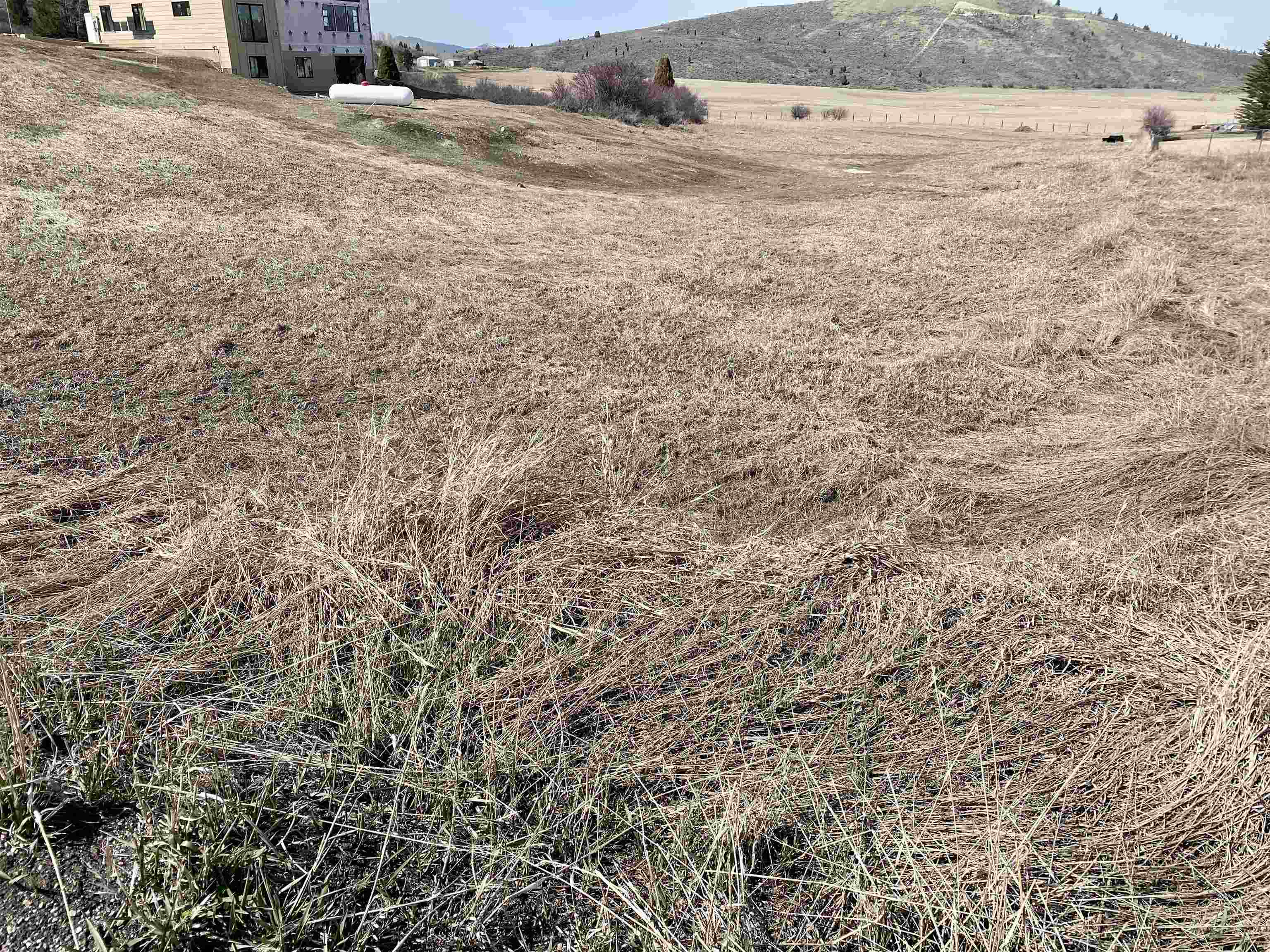 TBD Lot #25, Soda Springs, Idaho image 2