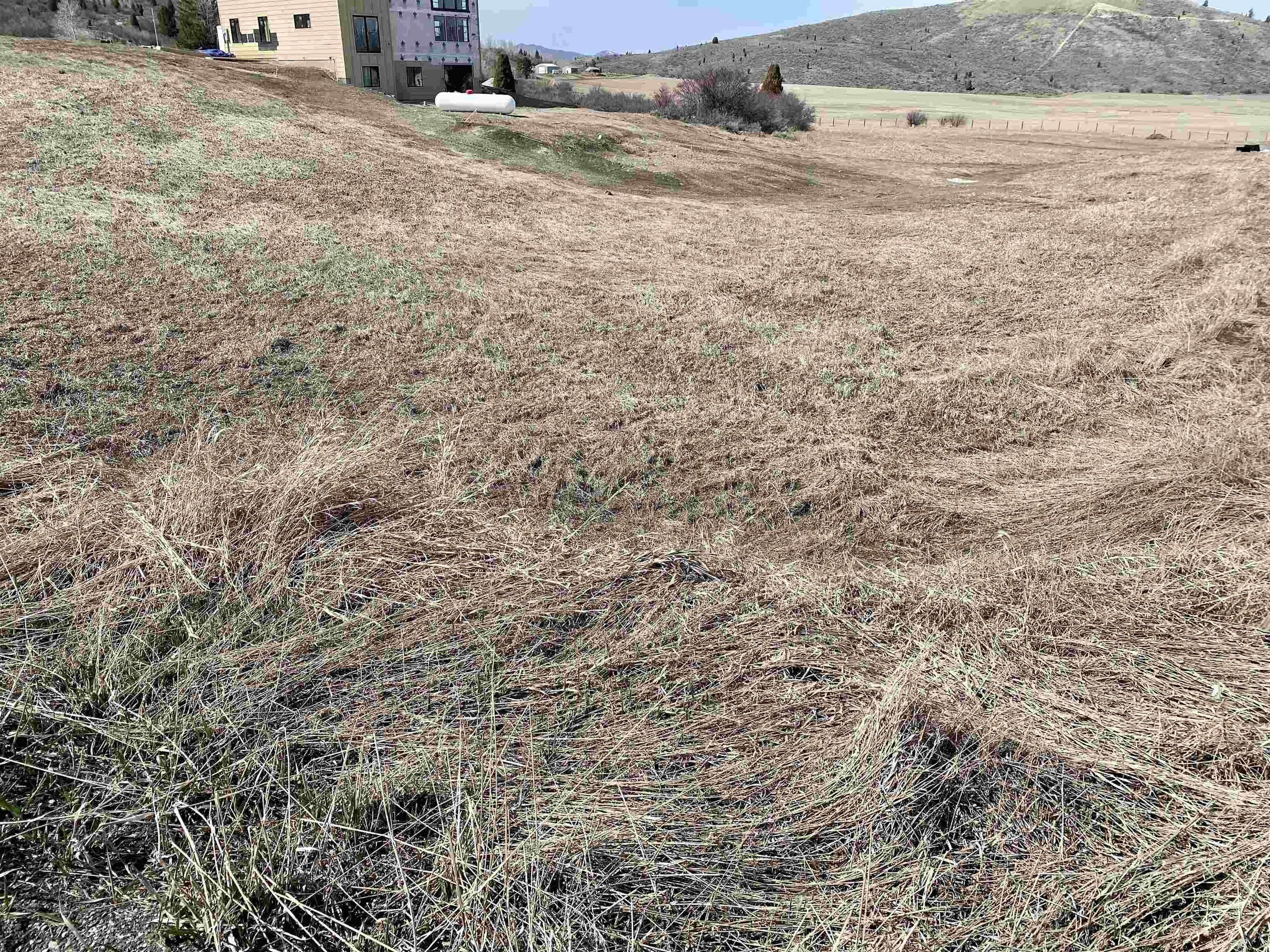 TBD Lot #25, Soda Springs, Idaho image 5