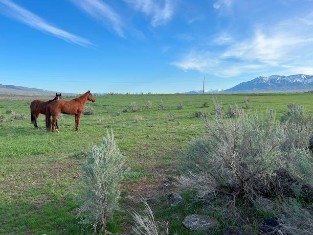 Lot A Jensen Rd, McCammon, Idaho image 28