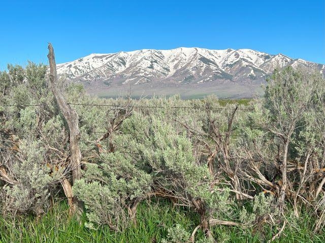 Lot A Jensen Rd, McCammon, Idaho image 25