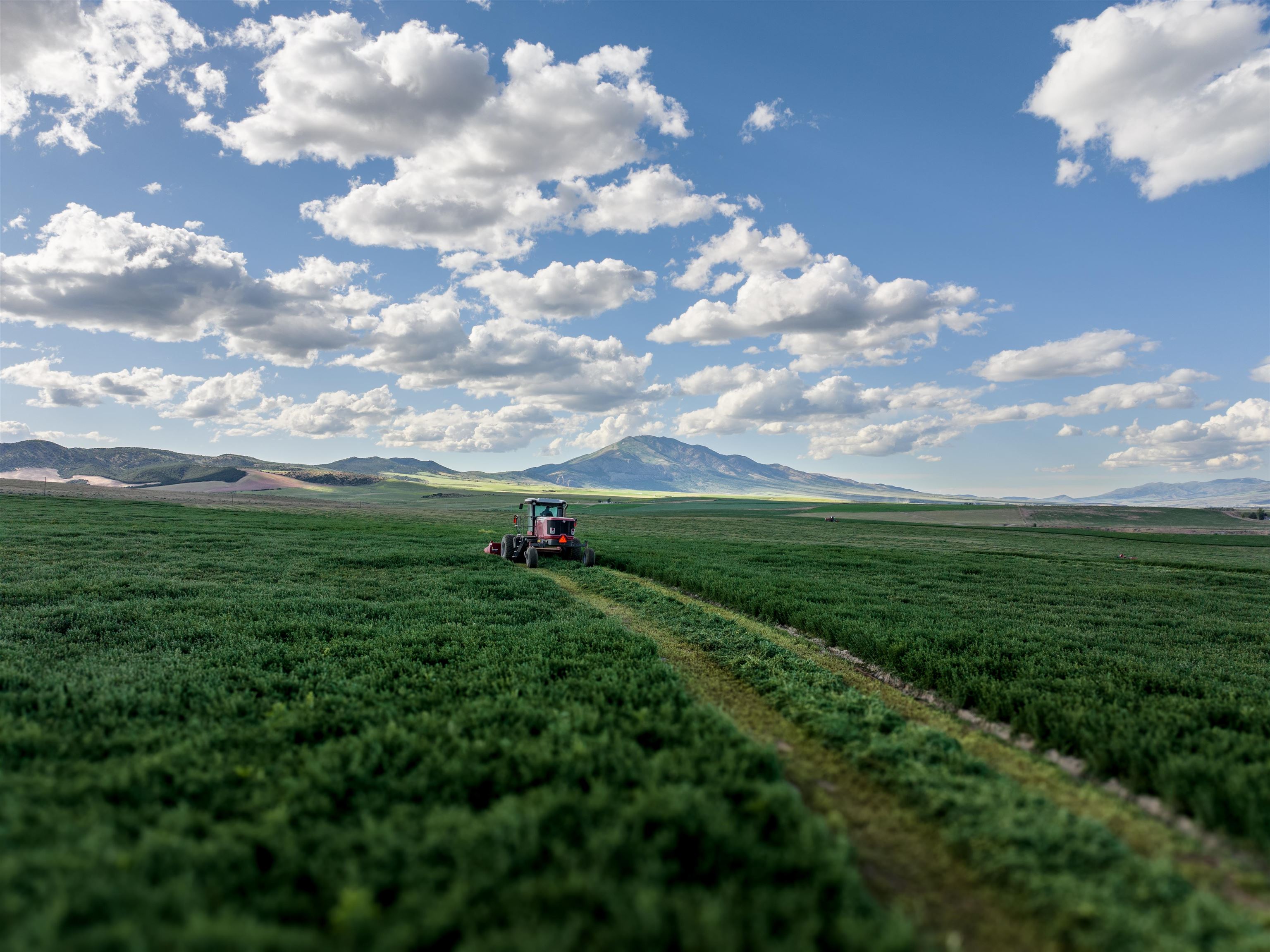 765 W Hawkins Rd, Arimo, Idaho image 12