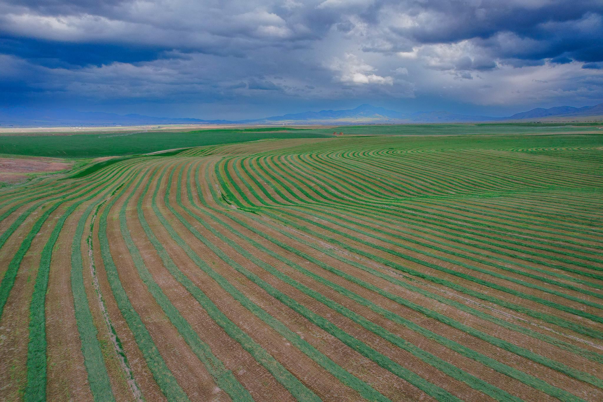 765 W Hawkins Rd, Arimo, Idaho image 14