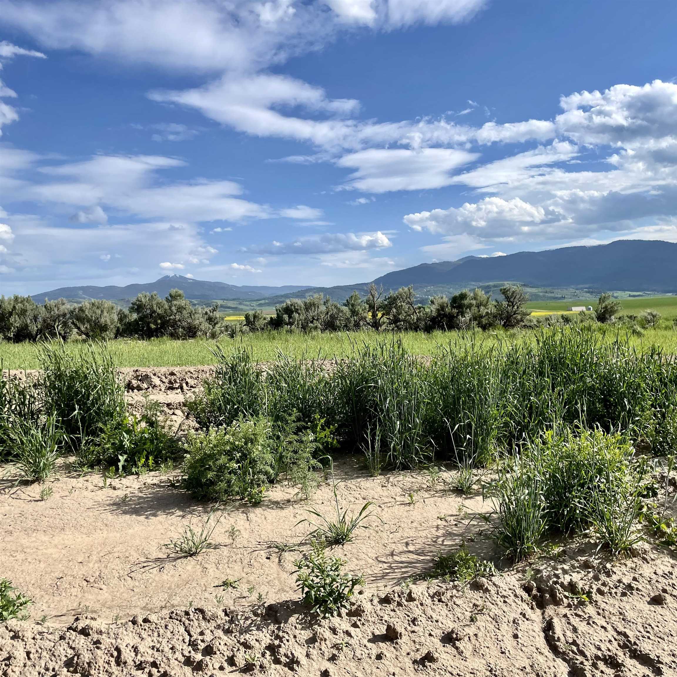 TBD Lakey Loop Lot 17, Soda Springs, Idaho image 3