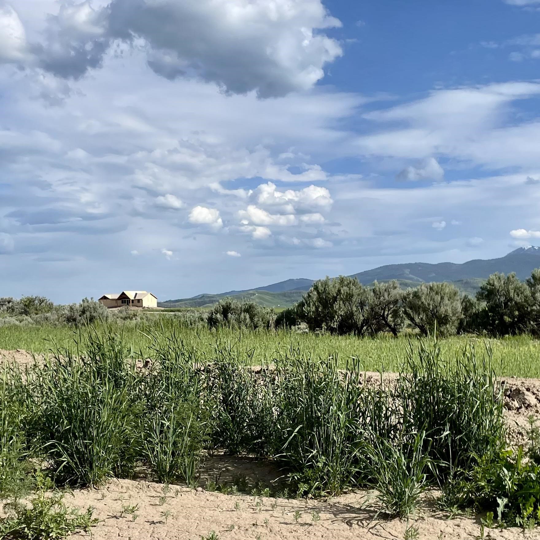 TBD Lakey Loop Lot 17, Soda Springs, Idaho image 4