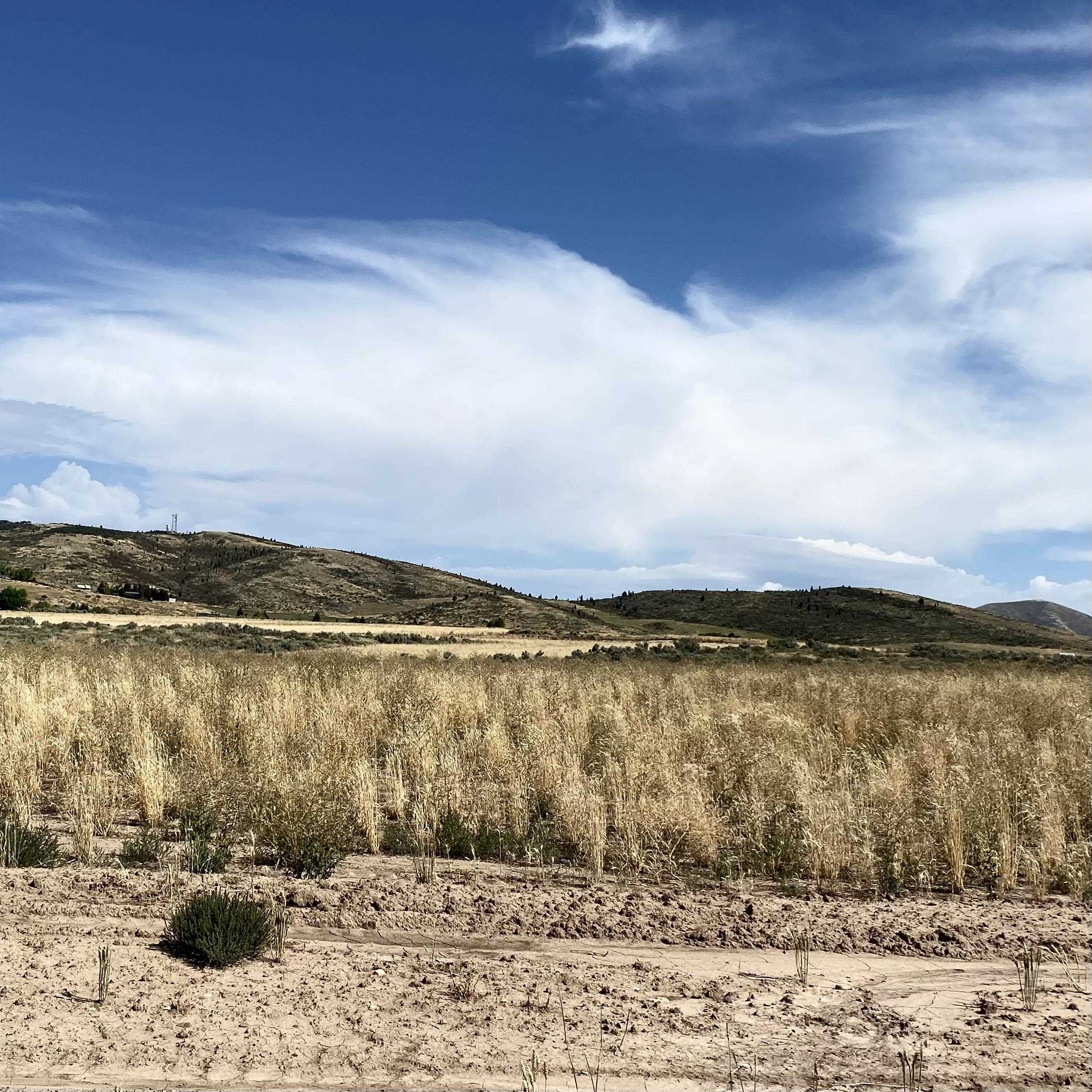 TBD Lakey Loop Lot 17, Soda Springs, Idaho image 13