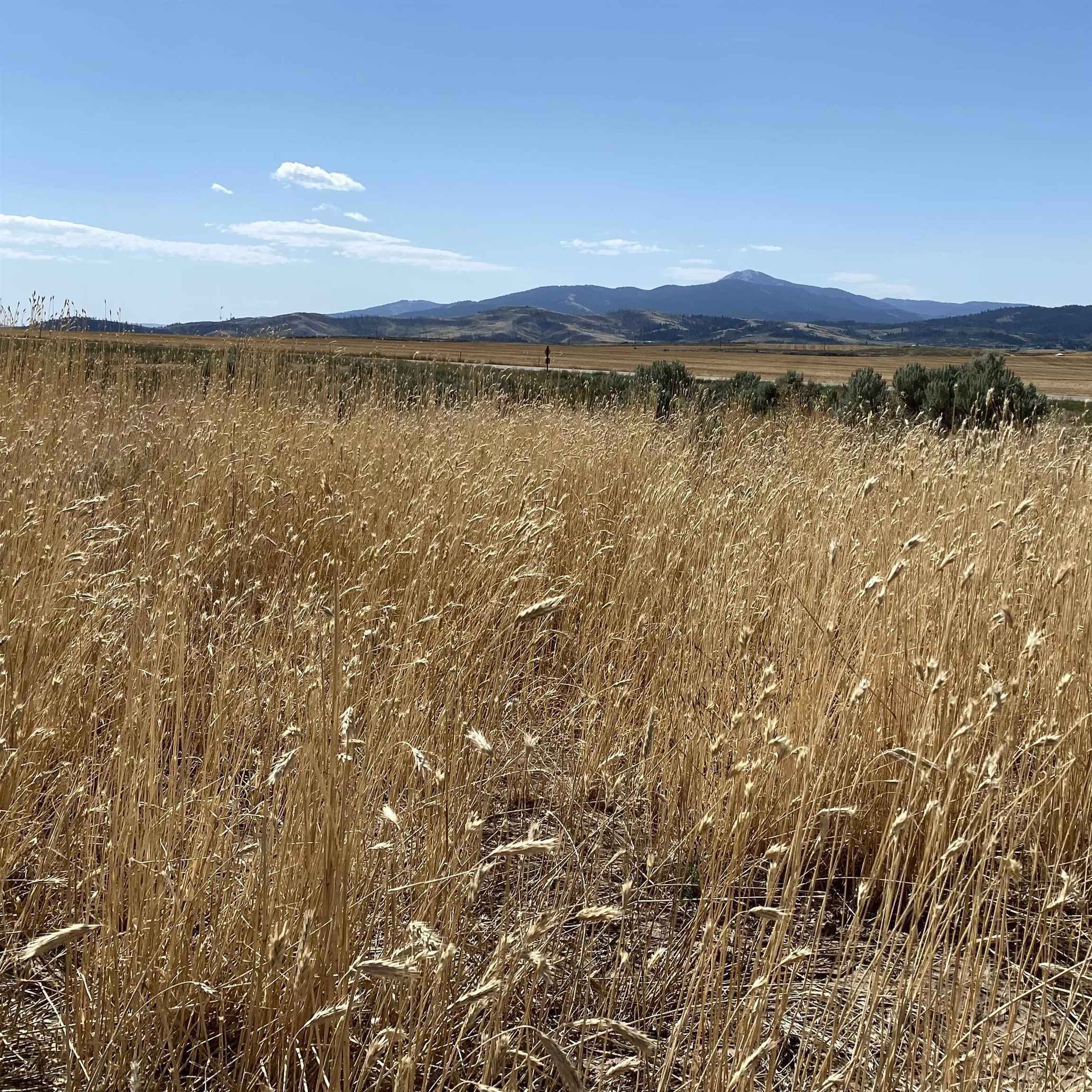 TBD Lakey Loop Lot 17, Soda Springs, Idaho image 11