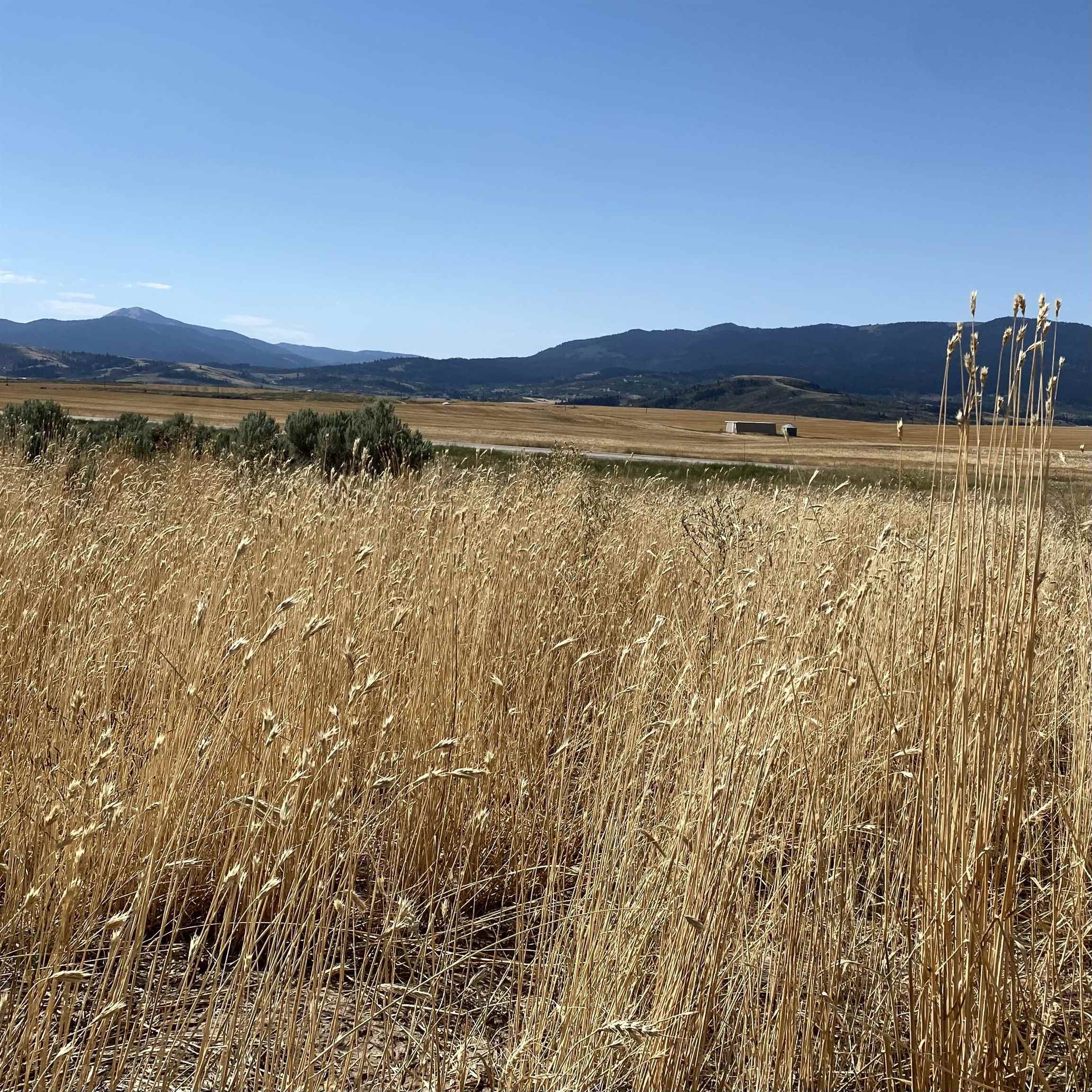 TBD Lakey Loop Lot 17, Soda Springs, Idaho image 8