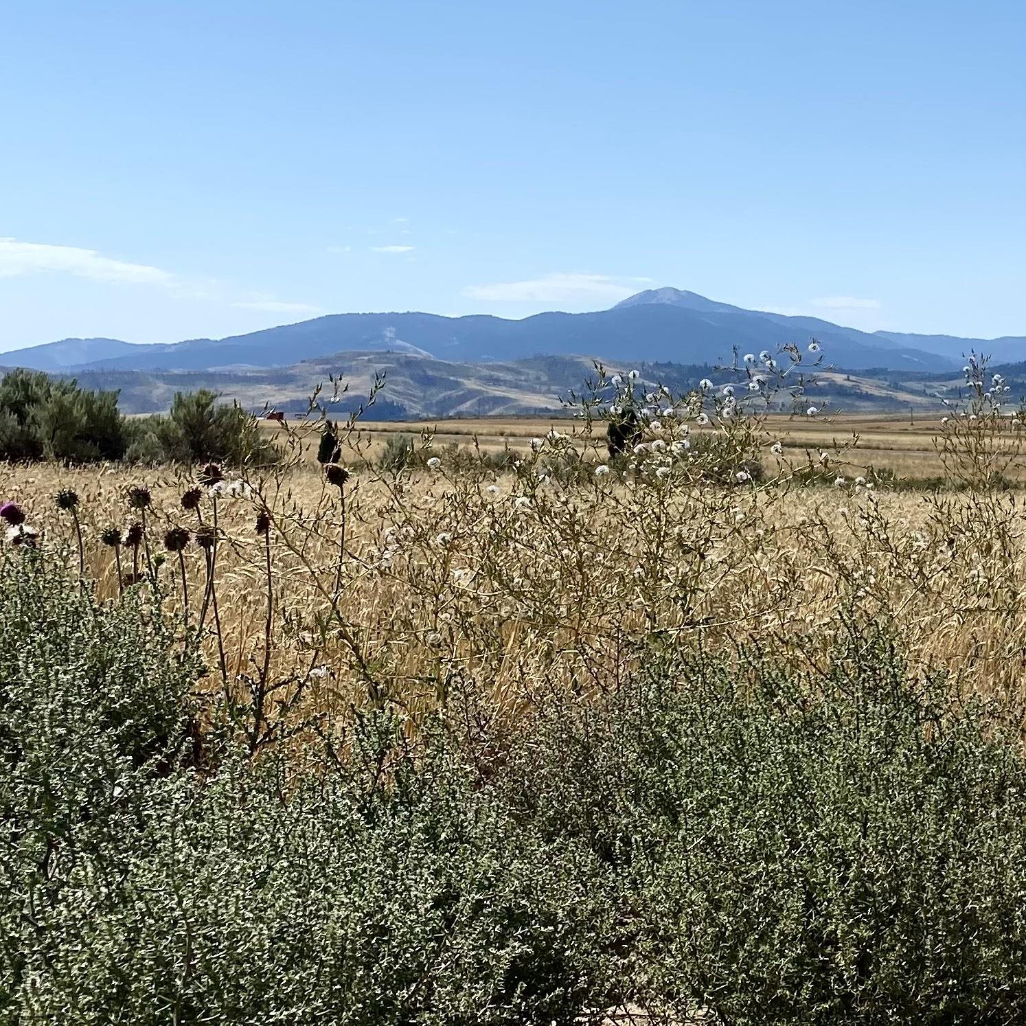 TBD Lakey Loop Lot 17, Soda Springs, Idaho image 7