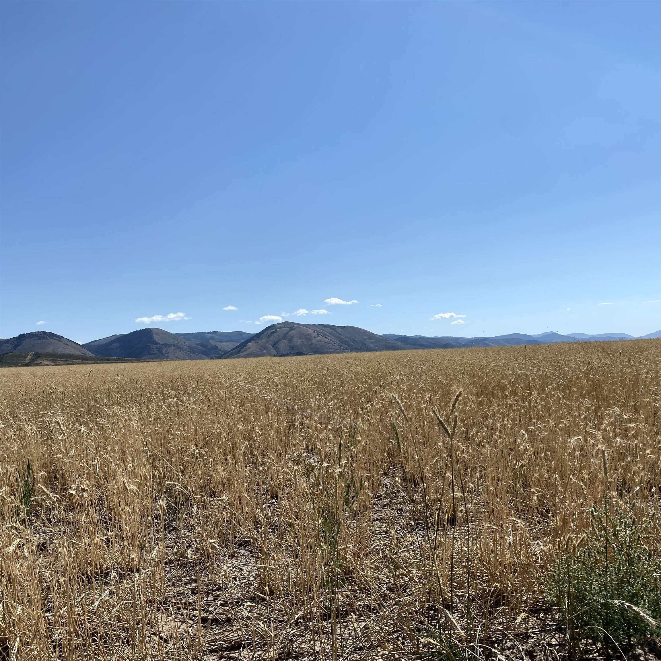 TBD Lakey Loop Lot 17, Soda Springs, Idaho image 15