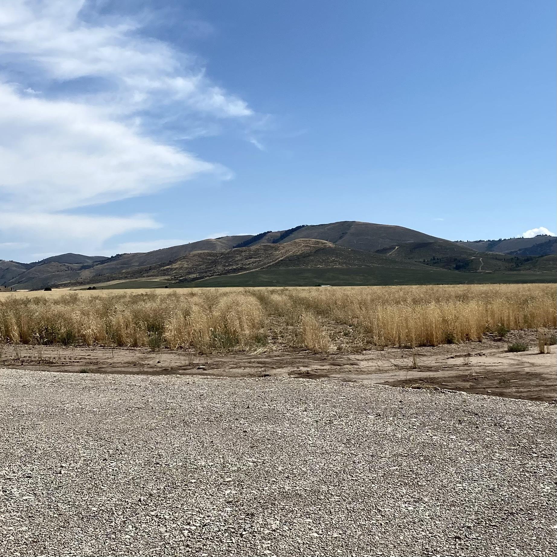 TBD Lakey Loop Lot 17, Soda Springs, Idaho image 14