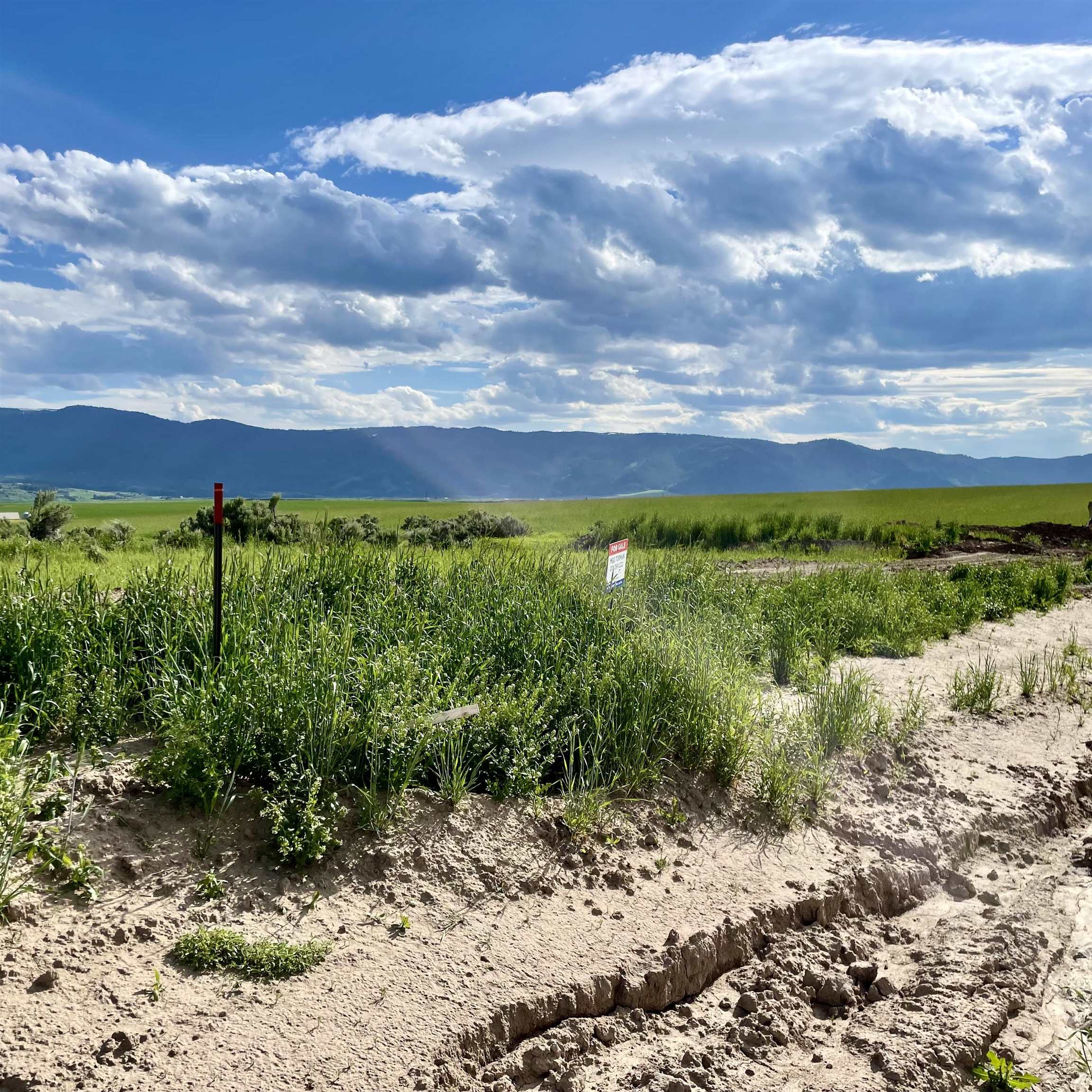 TBD Lakey Loop Lot 17, Soda Springs, Idaho image 6