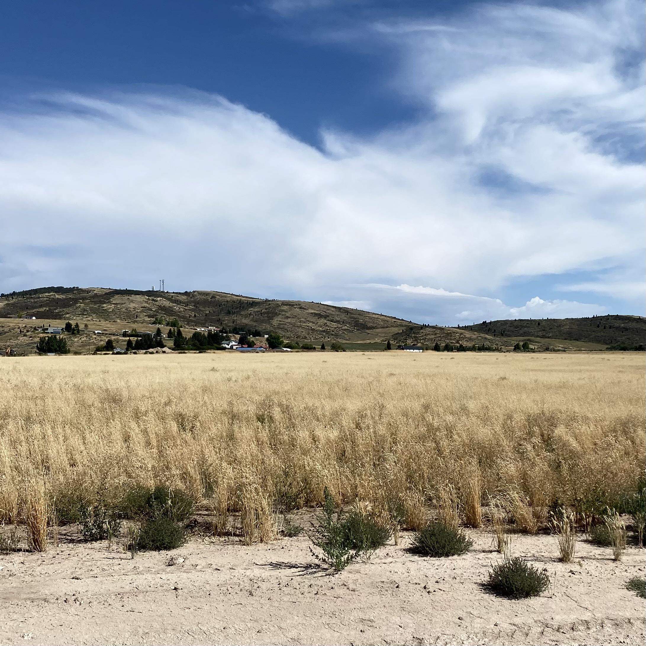 TBD Lakey Loop Lot 17, Soda Springs, Idaho image 9