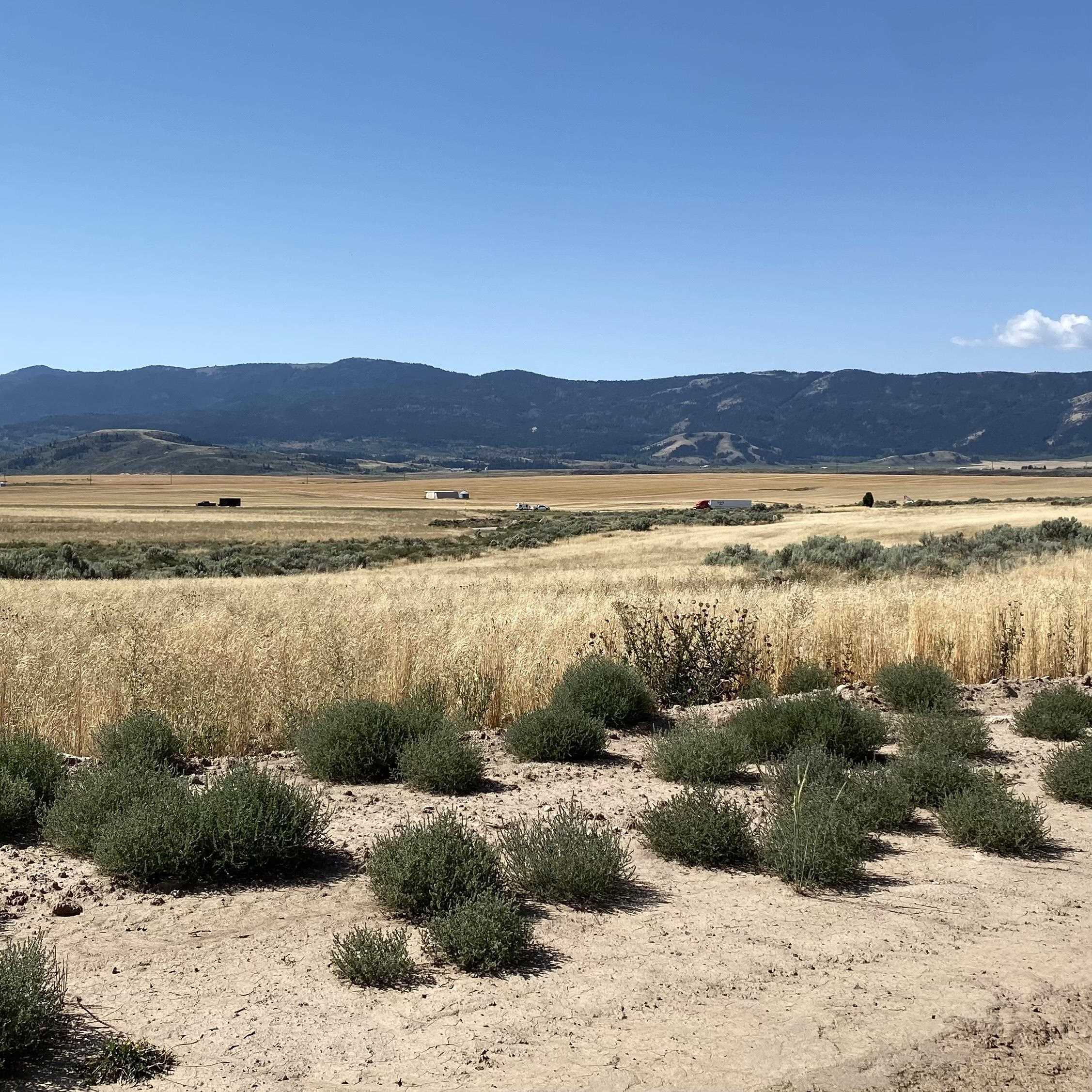 TBD Lakey Loop Lot 17, Soda Springs, Idaho image 19