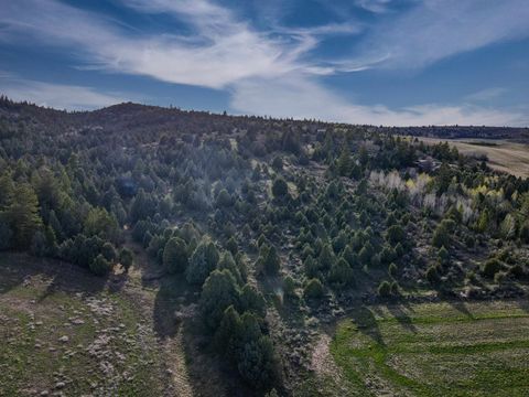 Vacant Land For Sale - LOT 27 Selkirk Rd<br/> Lava Hot Springs, ID 83246