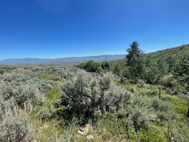 1234 Mines Canyon Rd, Downey, Idaho image 1