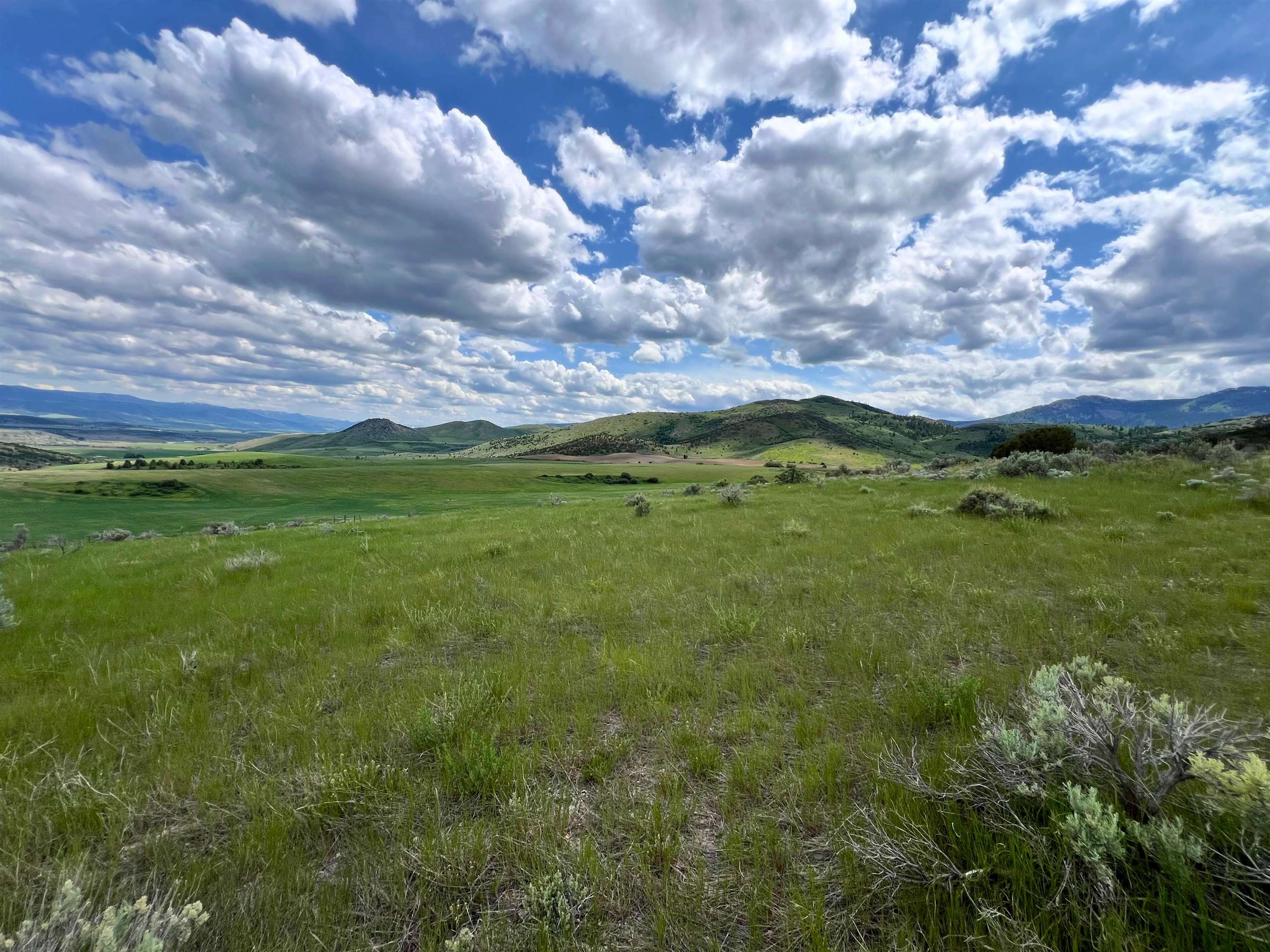 TBD Beaver Dam Rd, Grace, Idaho image 27