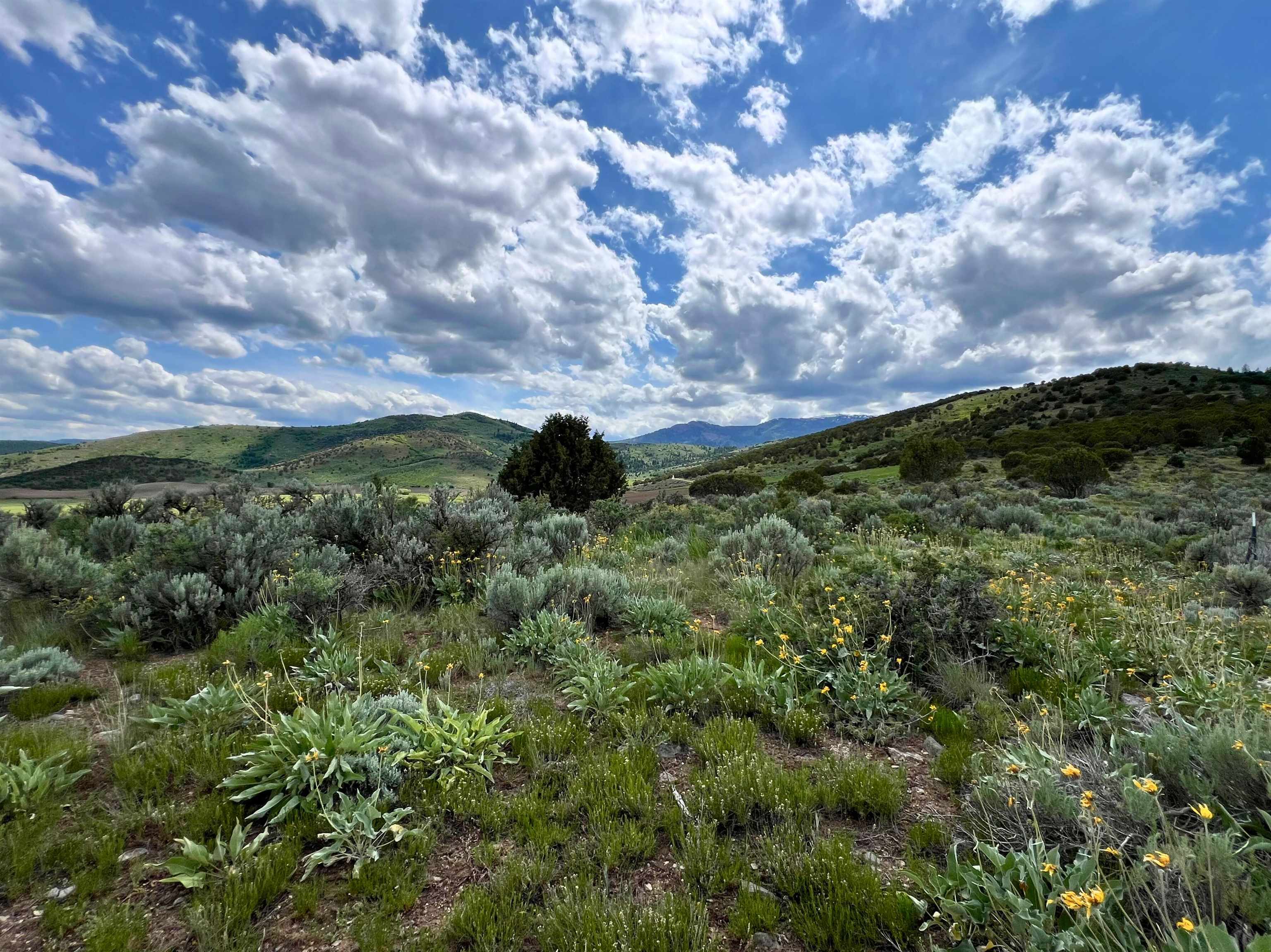 TBD Beaver Dam Rd, Grace, Idaho image 21
