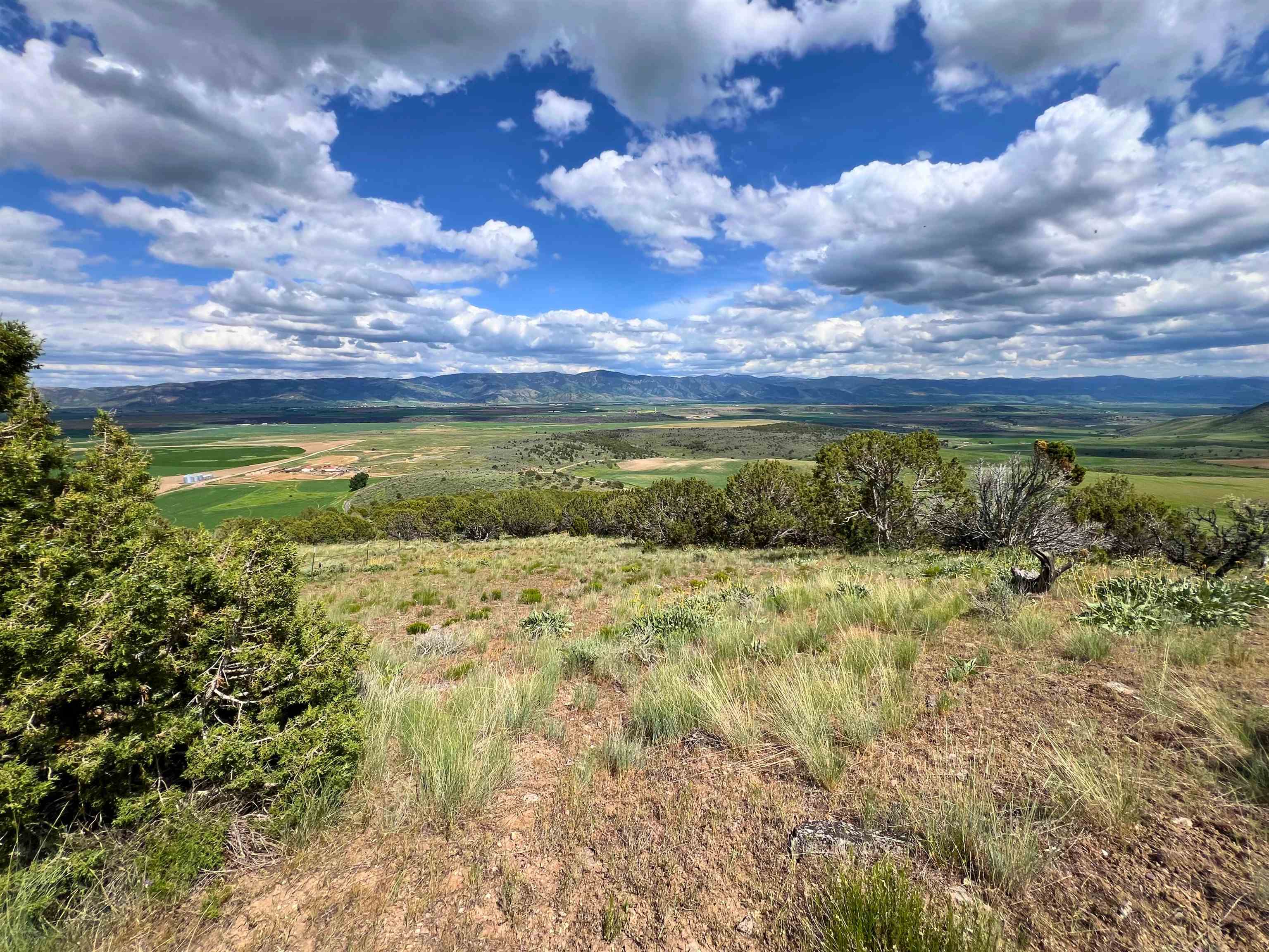 TBD Beaver Dam Rd, Grace, Idaho image 16