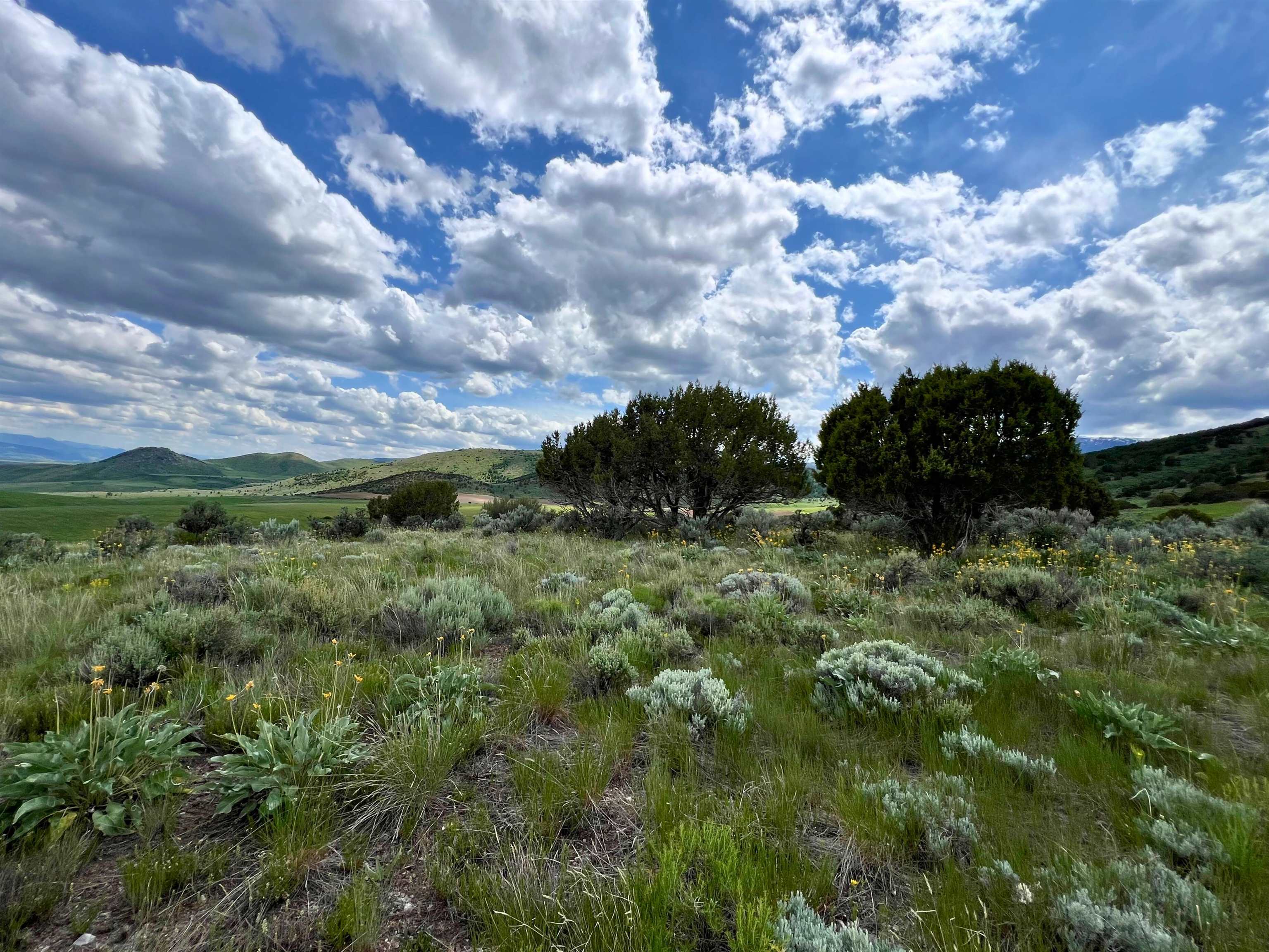 TBD Beaver Dam Rd, Grace, Idaho image 25