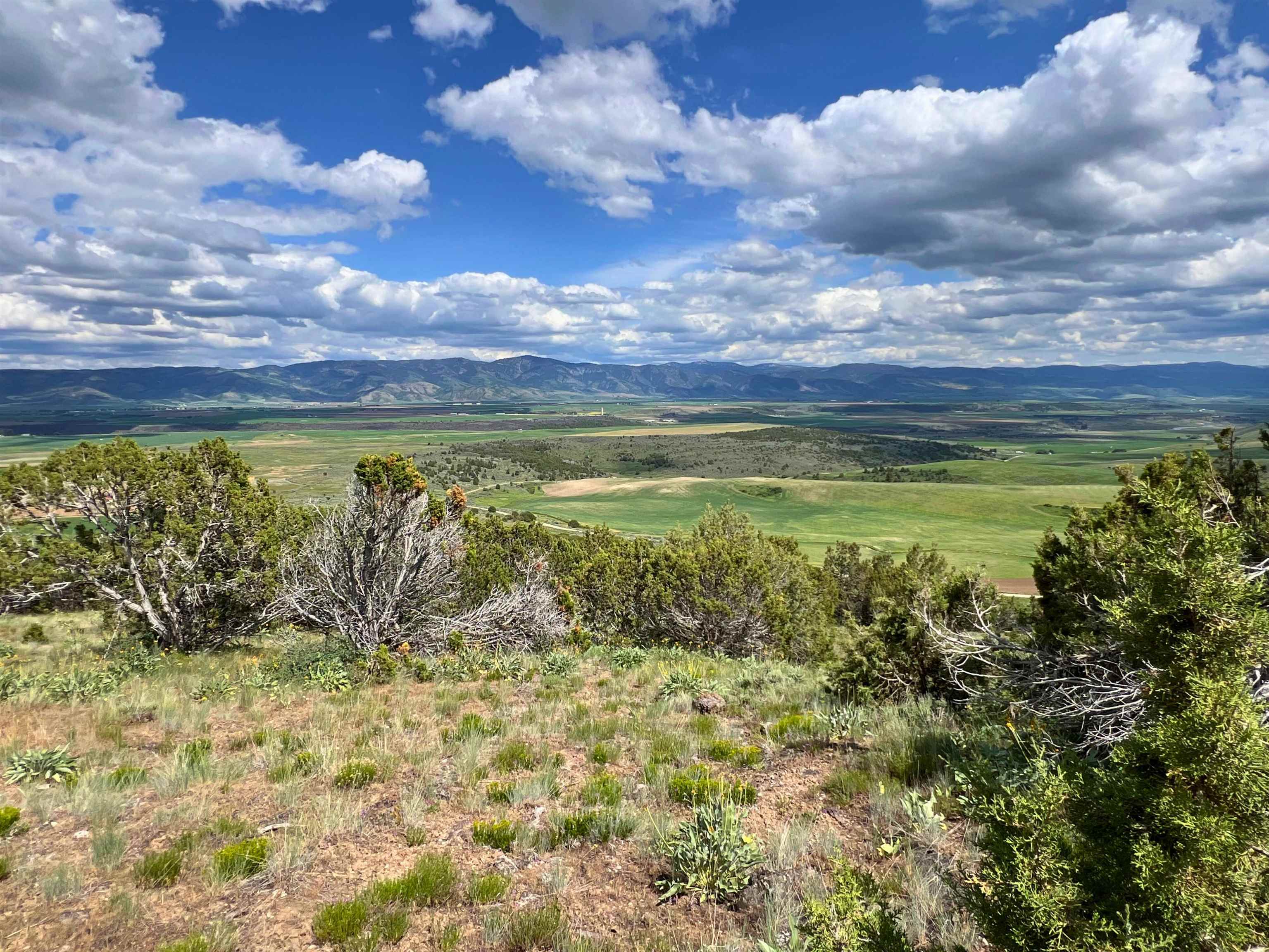 TBD Beaver Dam Rd, Grace, Idaho image 15