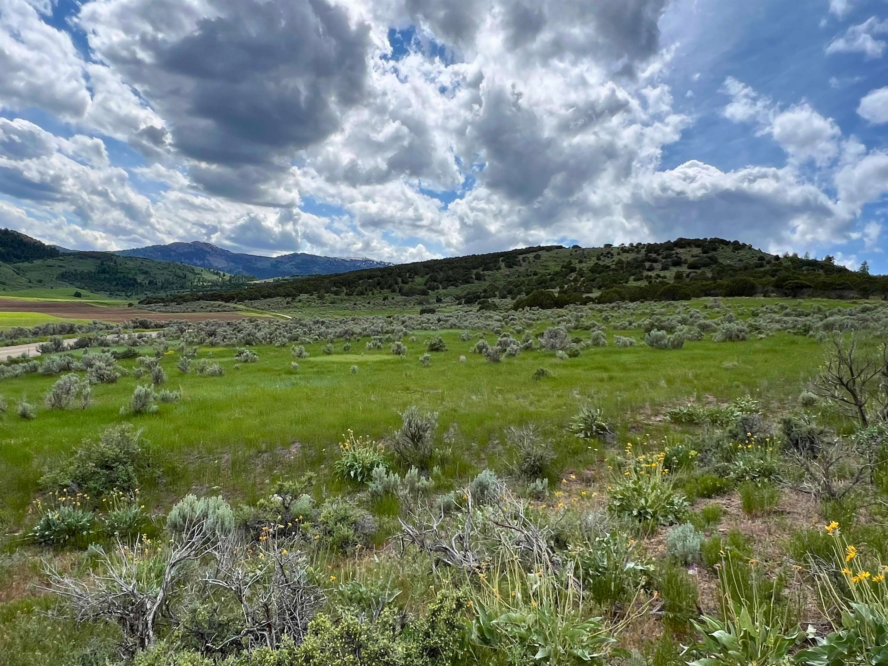 TBD Beaver Dam Rd, Grace, Idaho image 28