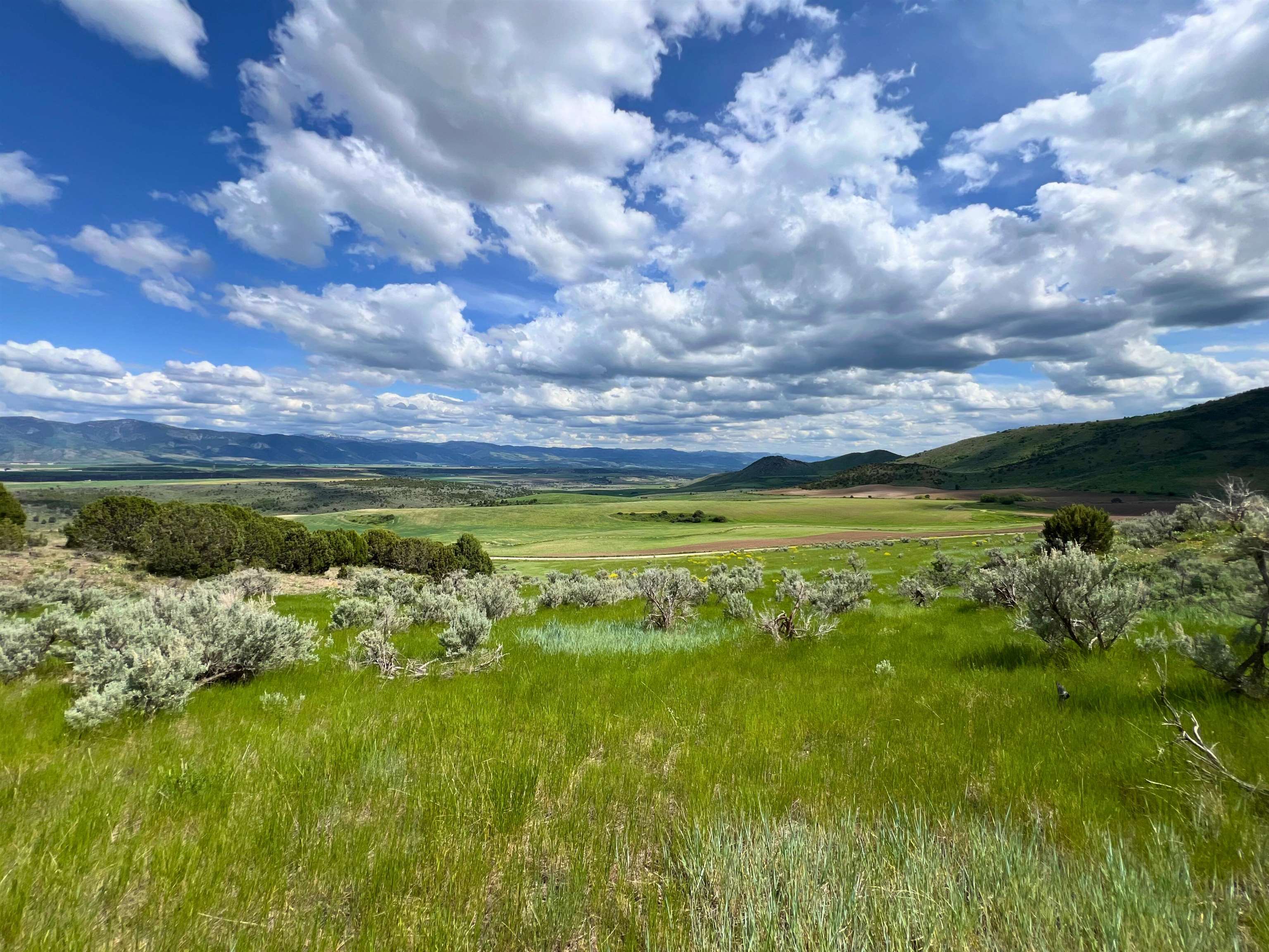 TBD Beaver Dam Rd, Grace, Idaho image 11