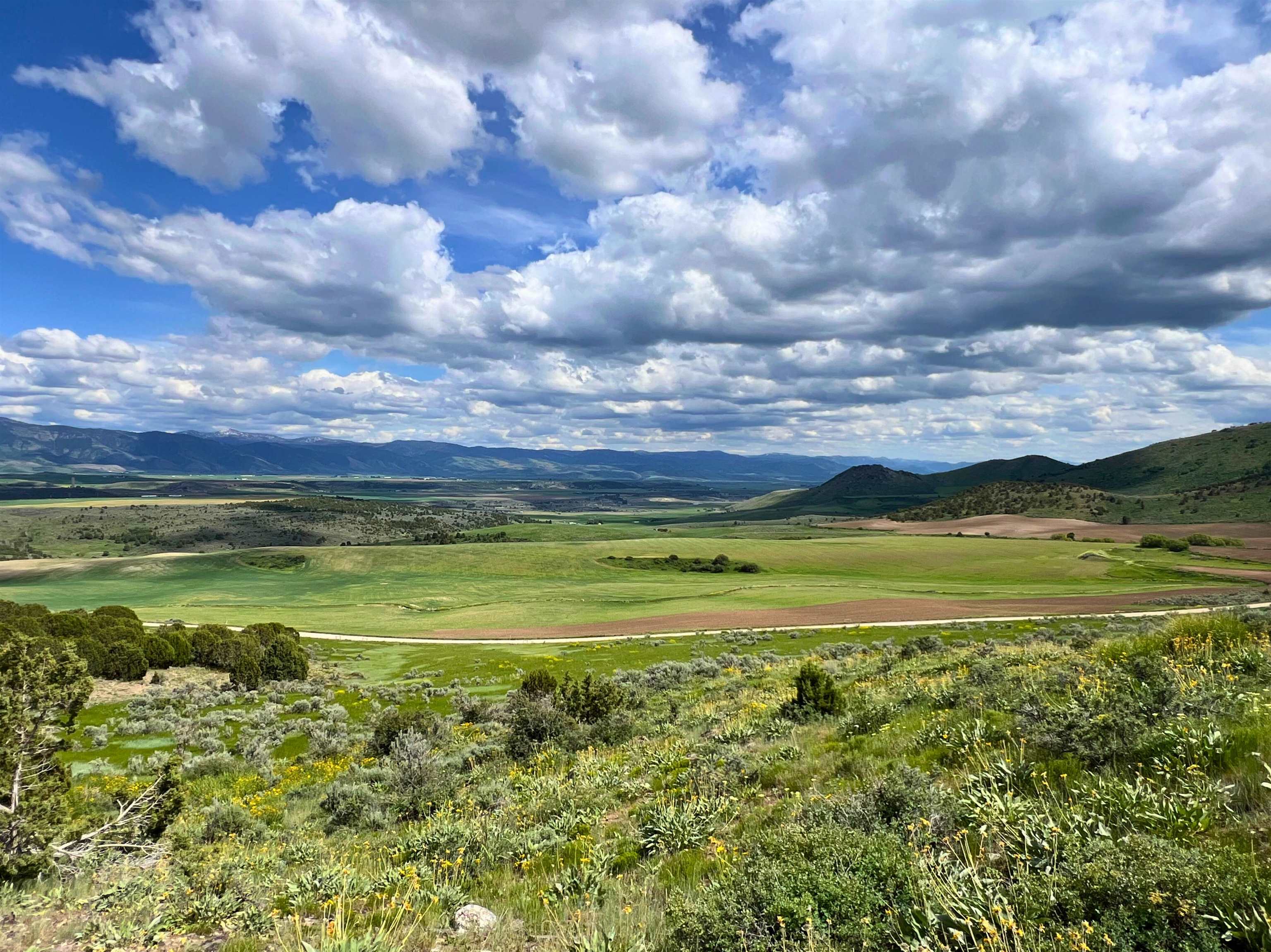 TBD Beaver Dam Rd, Grace, Idaho image 13