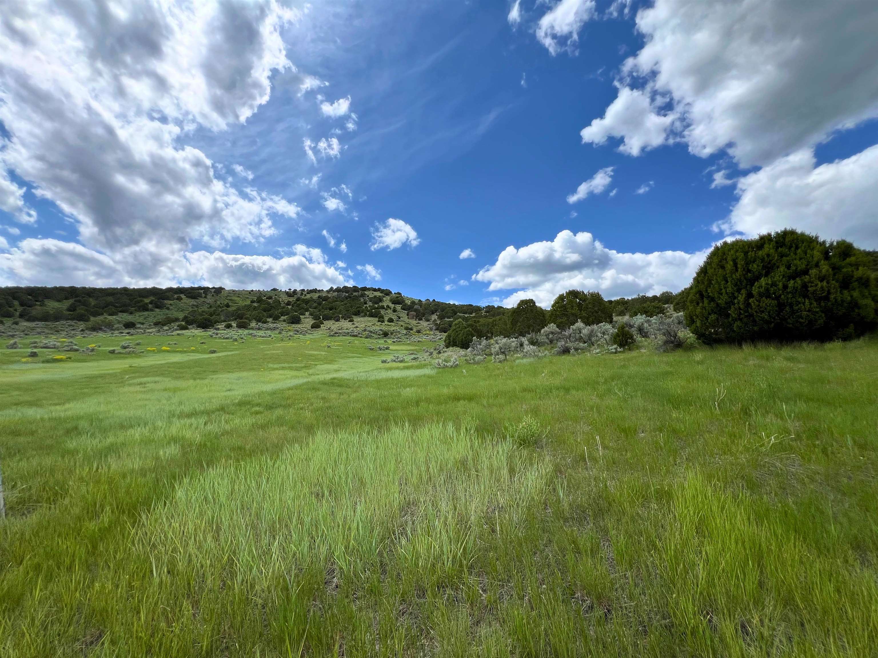 TBD Beaver Dam Rd, Grace, Idaho image 3